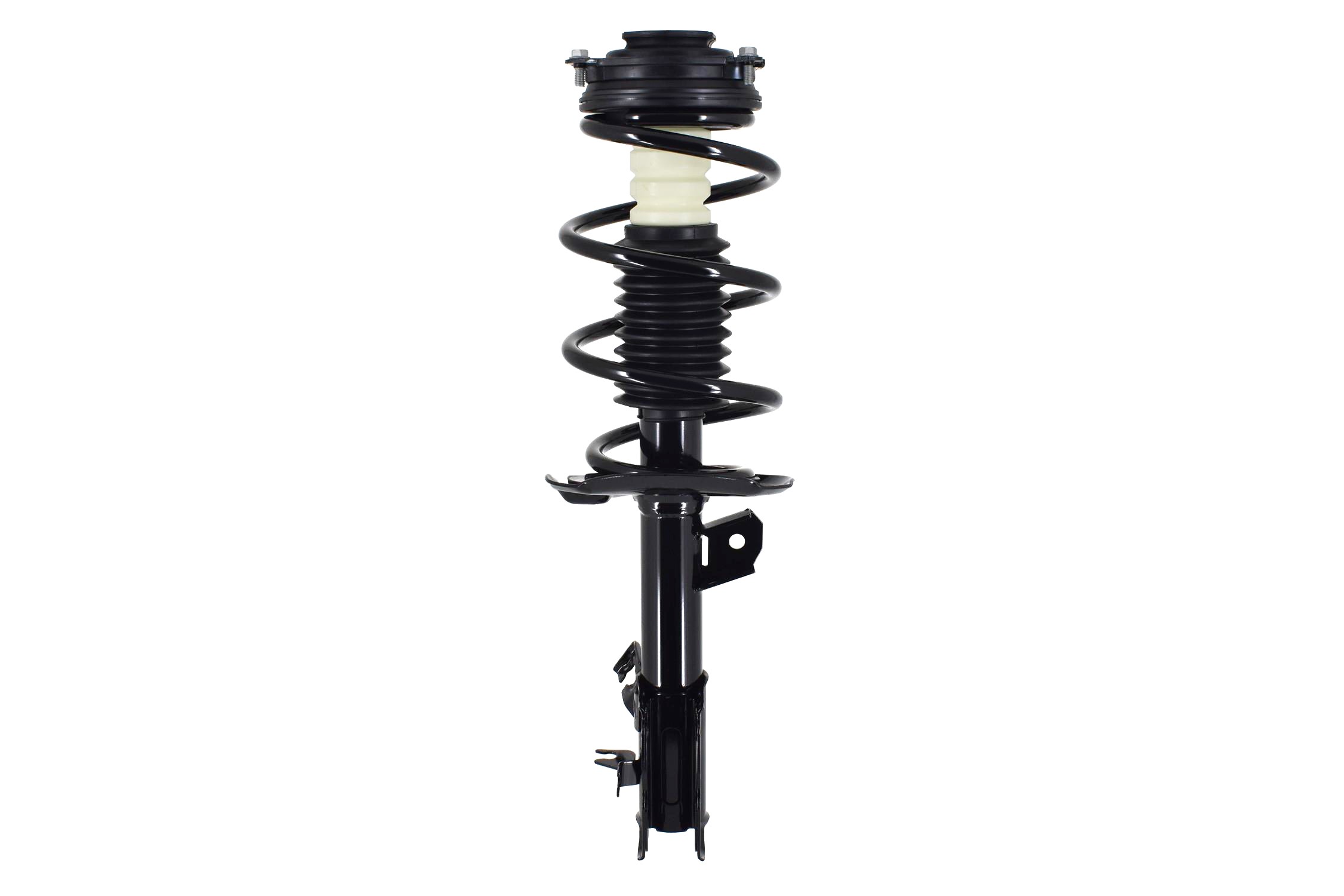 Suspension Strut and Coil Spring Assembly