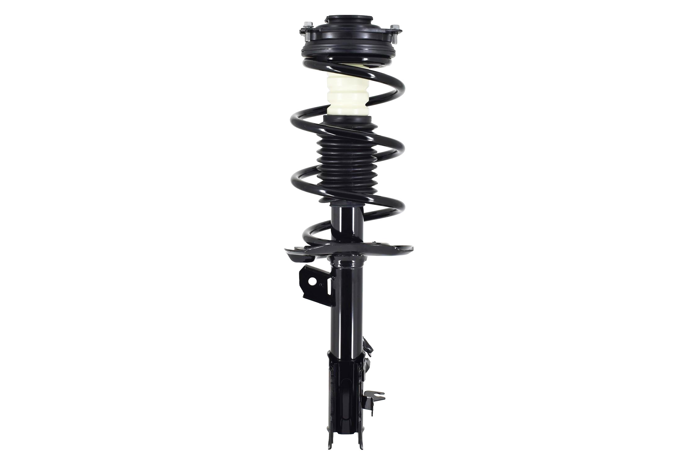 Suspension Strut and Coil Spring Assembly