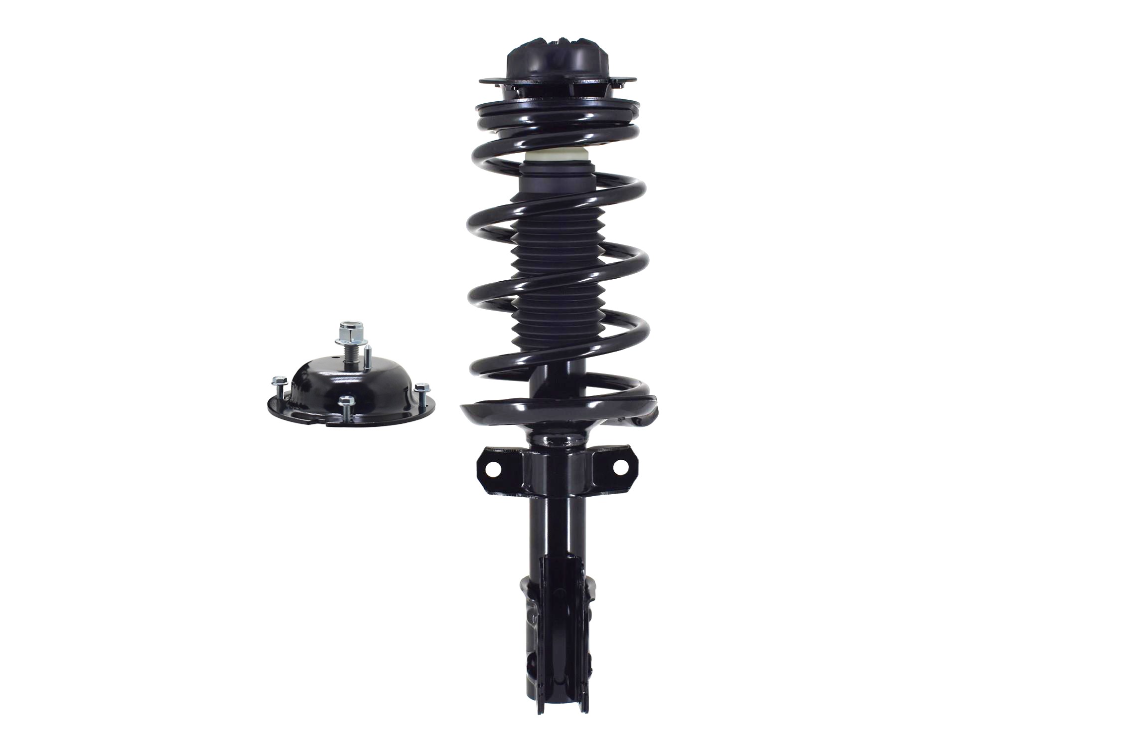 Suspension Strut and Coil Spring Assembly