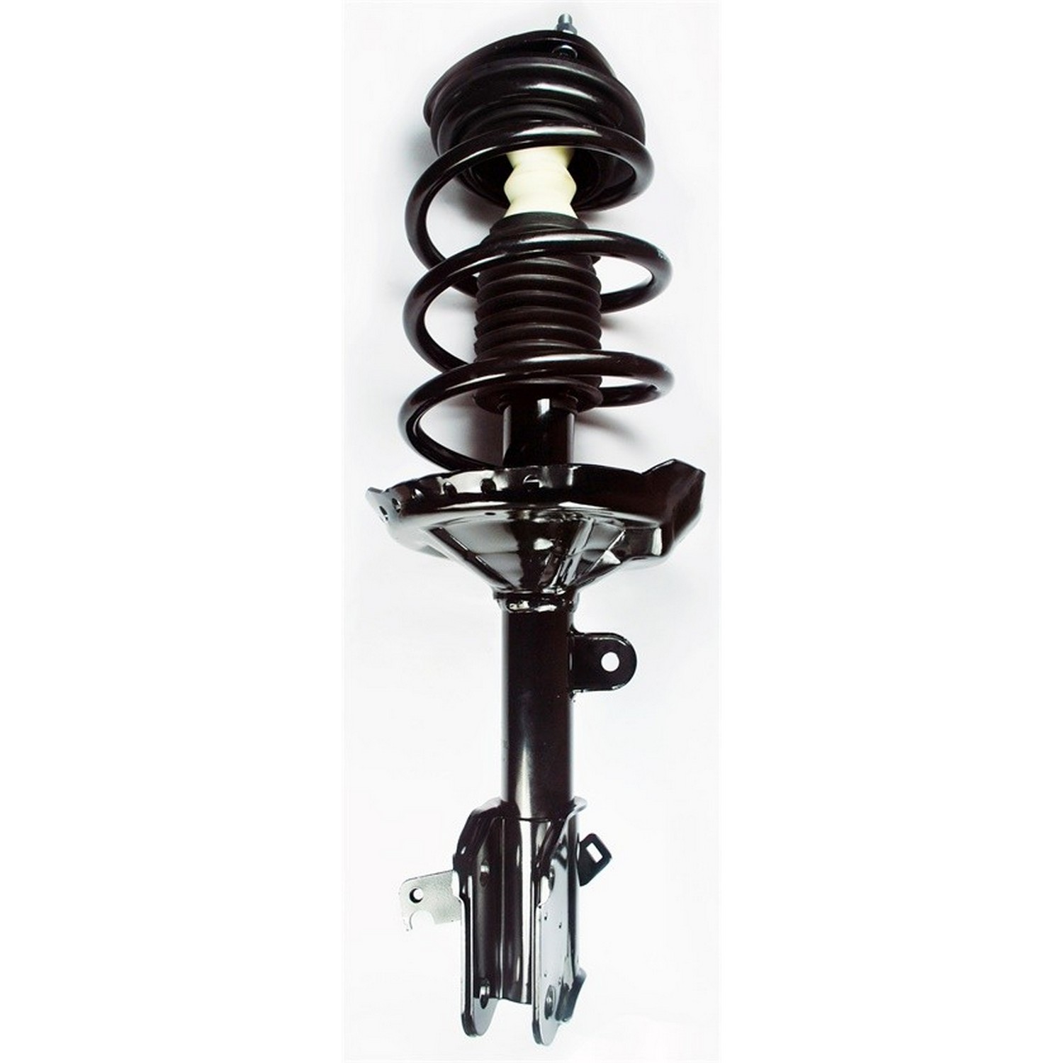Suspension Strut and Coil Spring Assembly