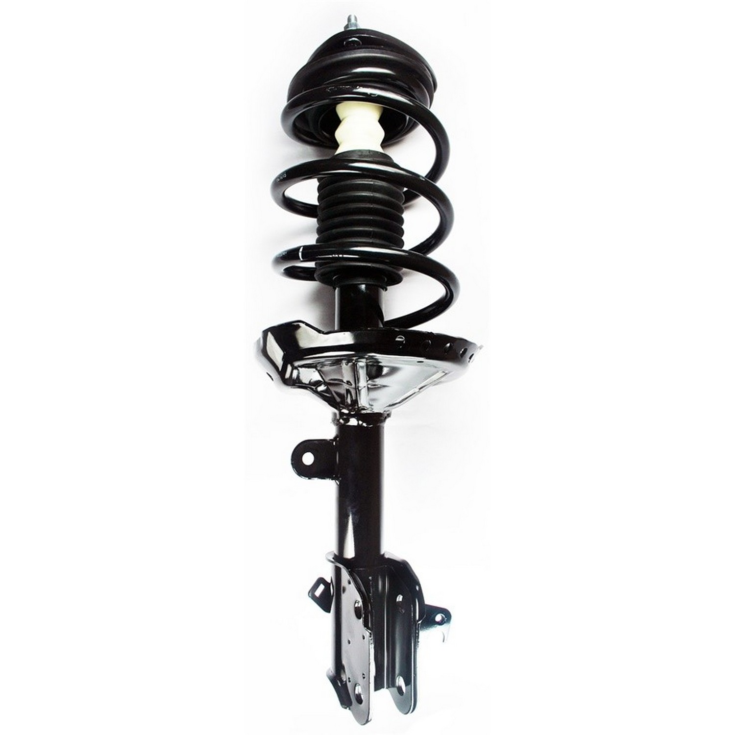Suspension Strut and Coil Spring Assembly