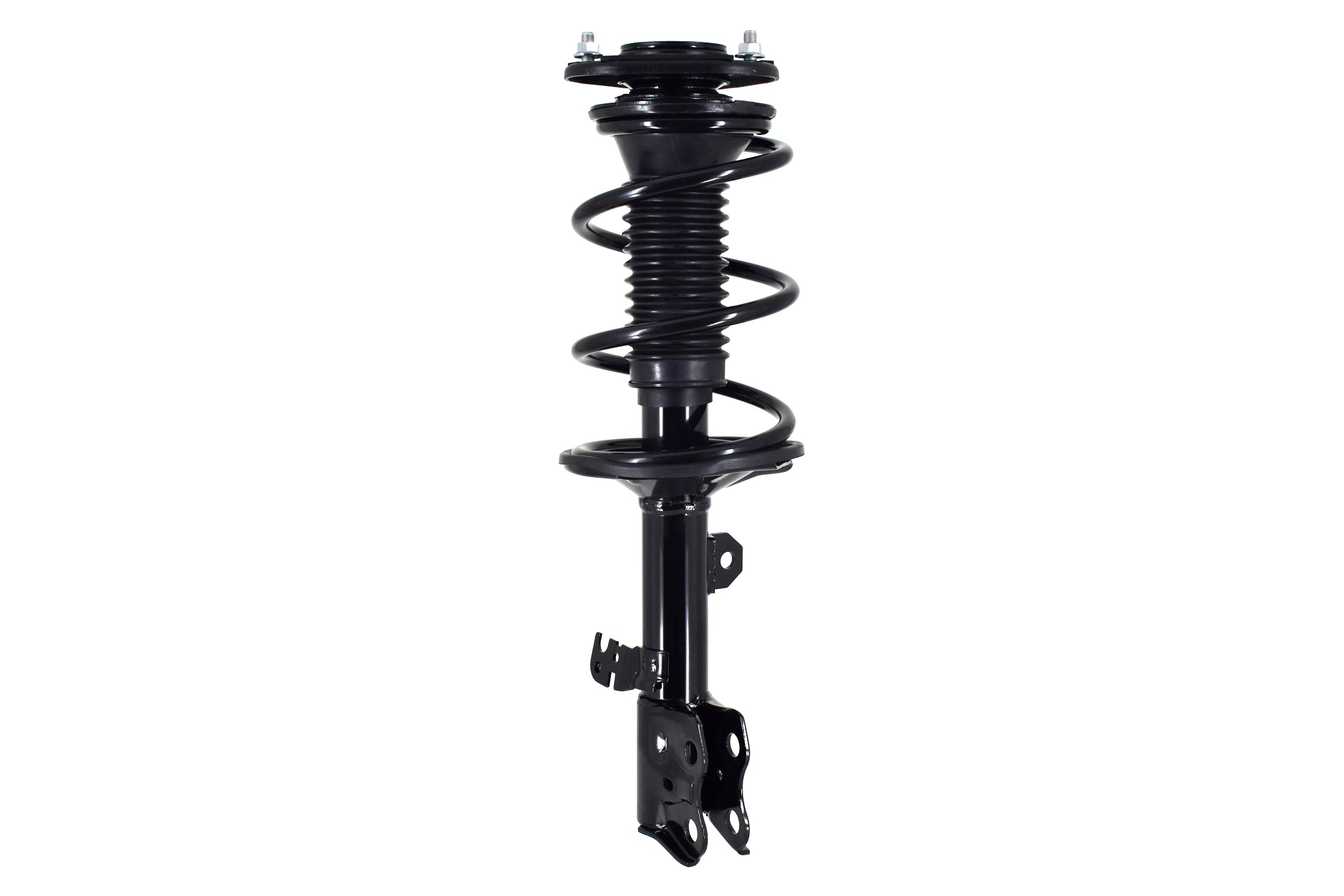 Suspension Strut and Coil Spring Assembly