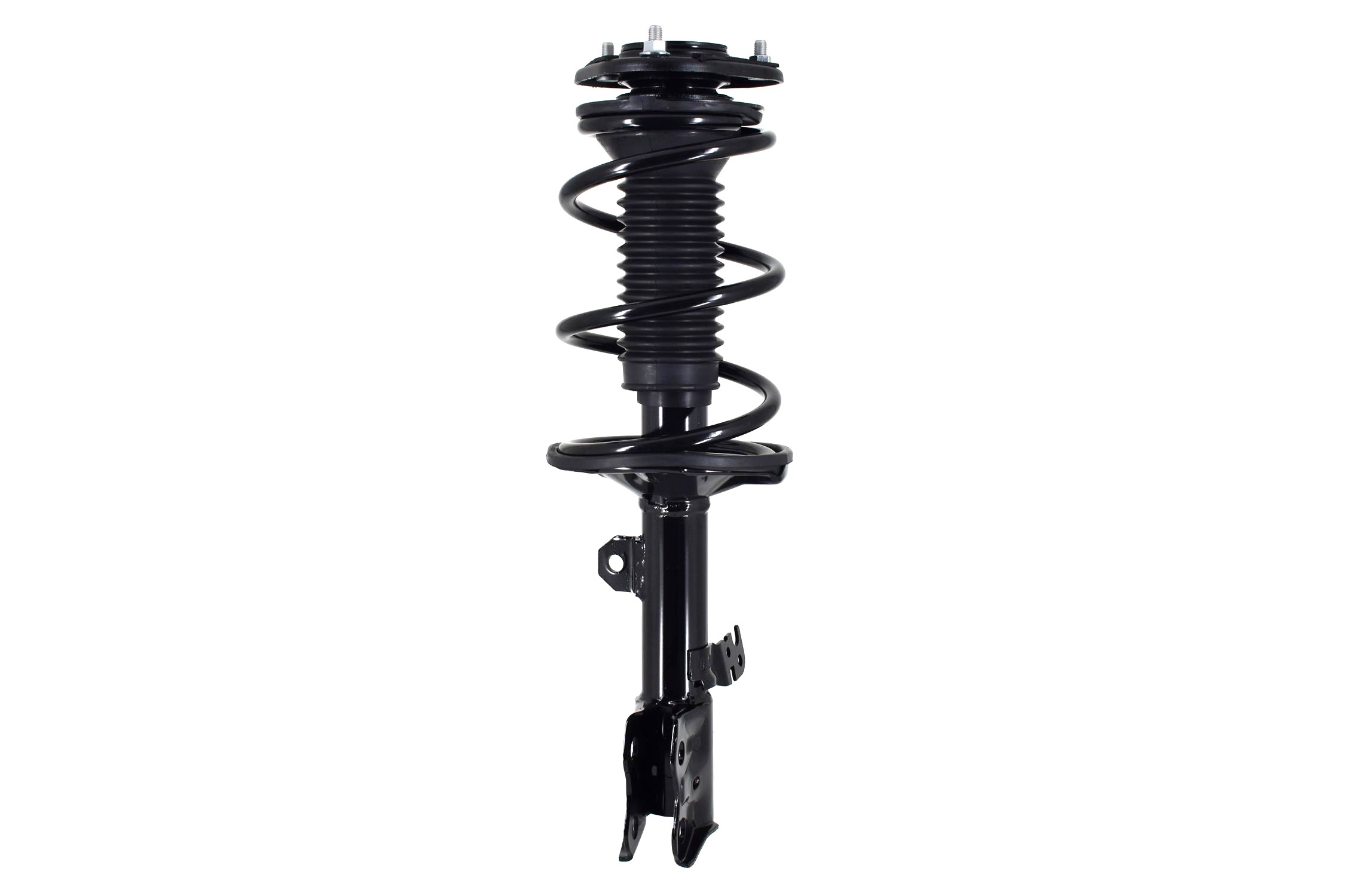 Suspension Strut and Coil Spring Assembly