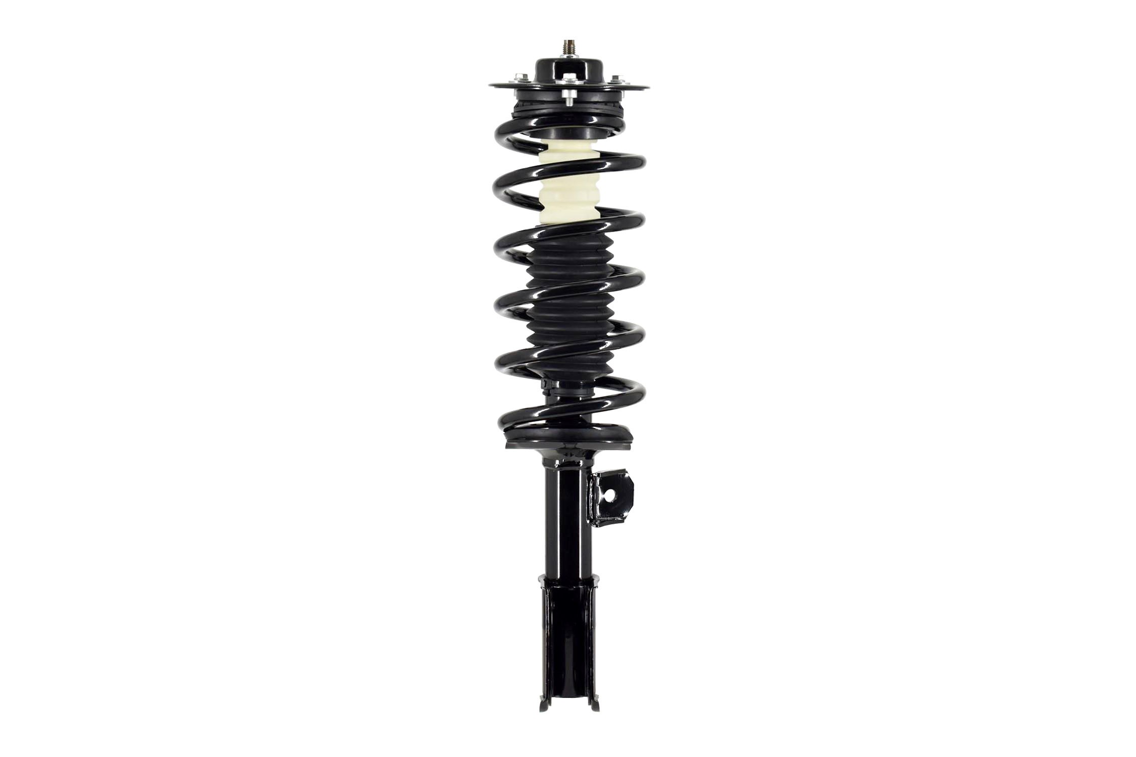 Suspension Strut and Coil Spring Assembly