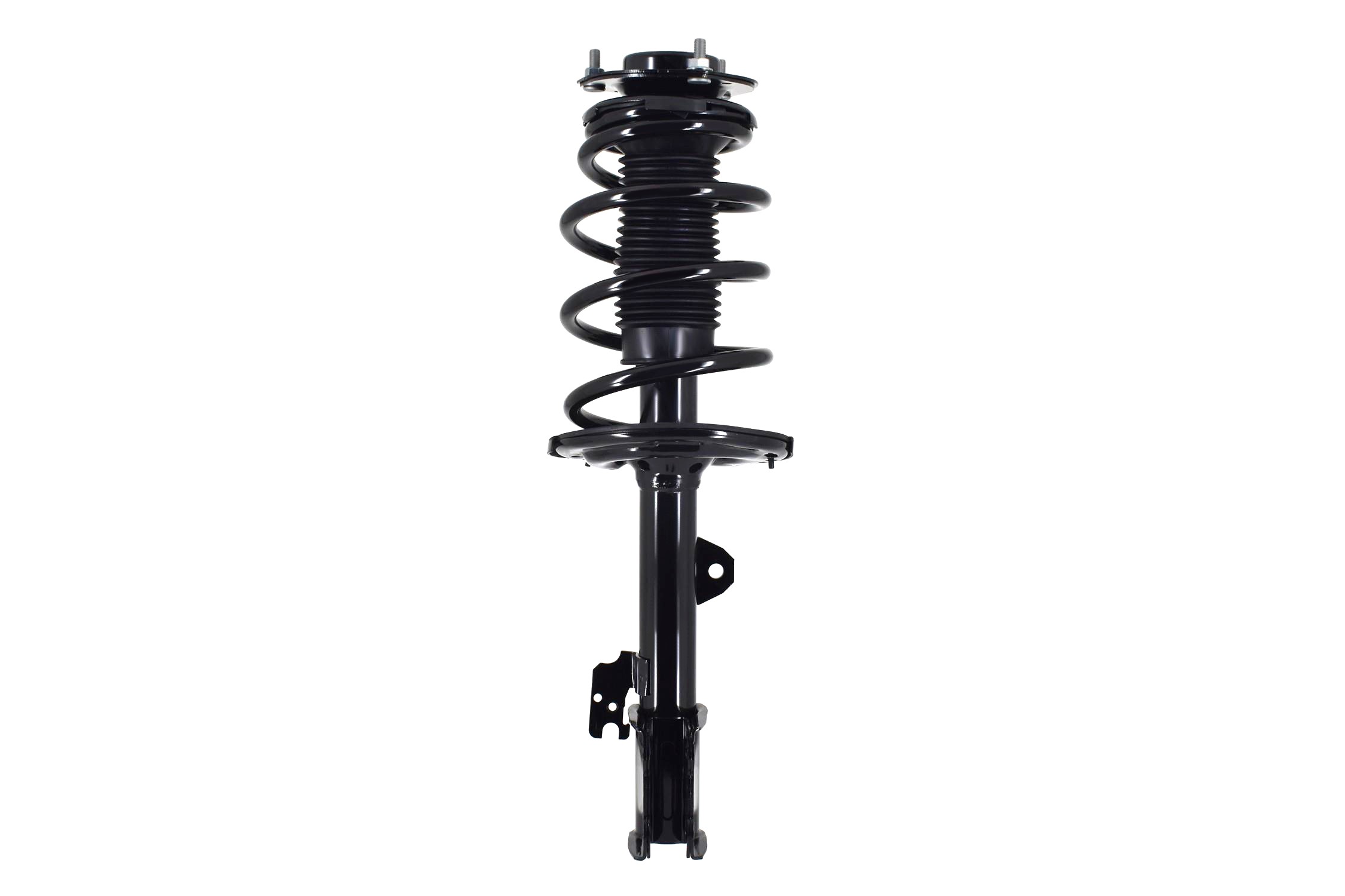 Suspension Strut and Coil Spring Assembly