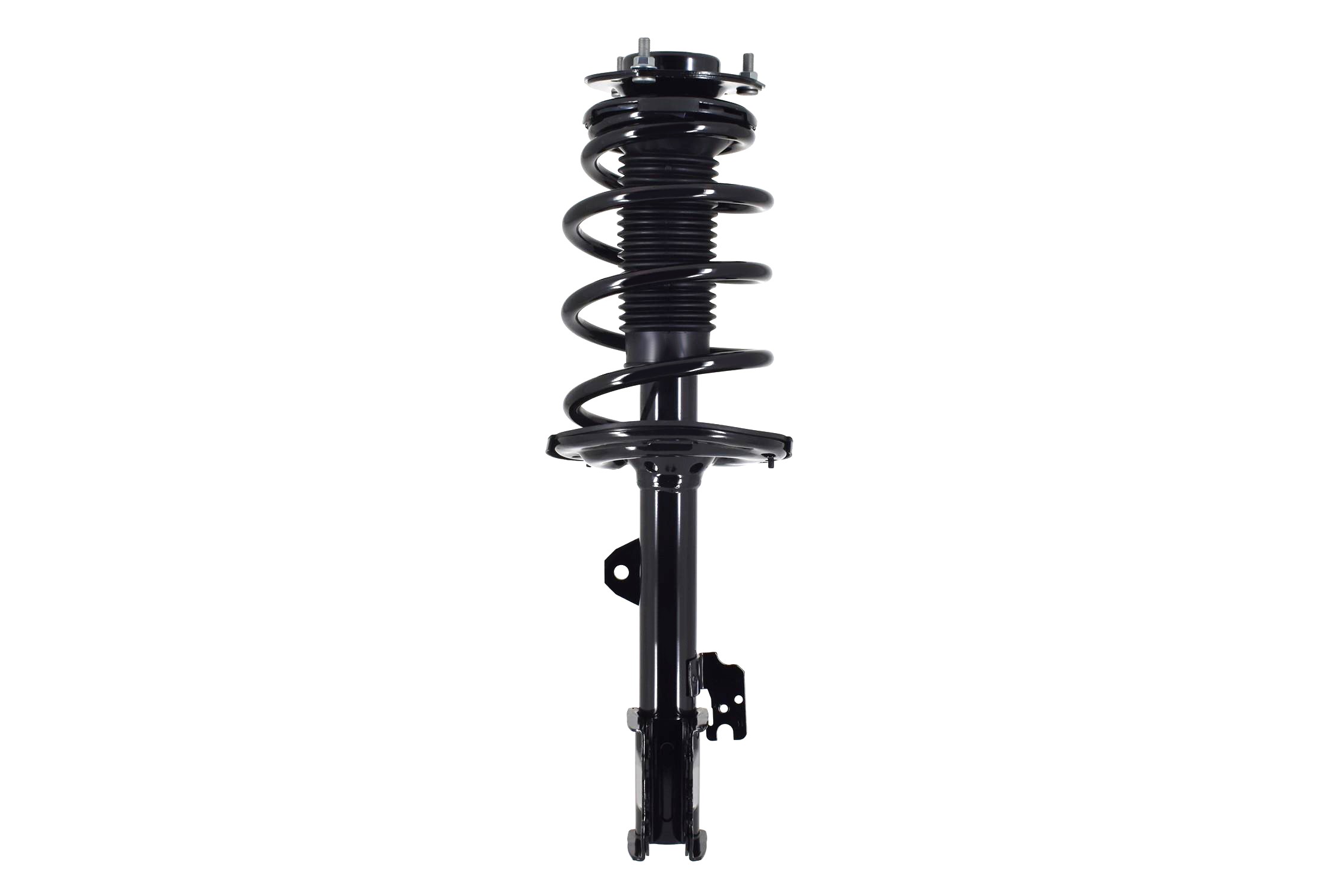 Suspension Strut and Coil Spring Assembly