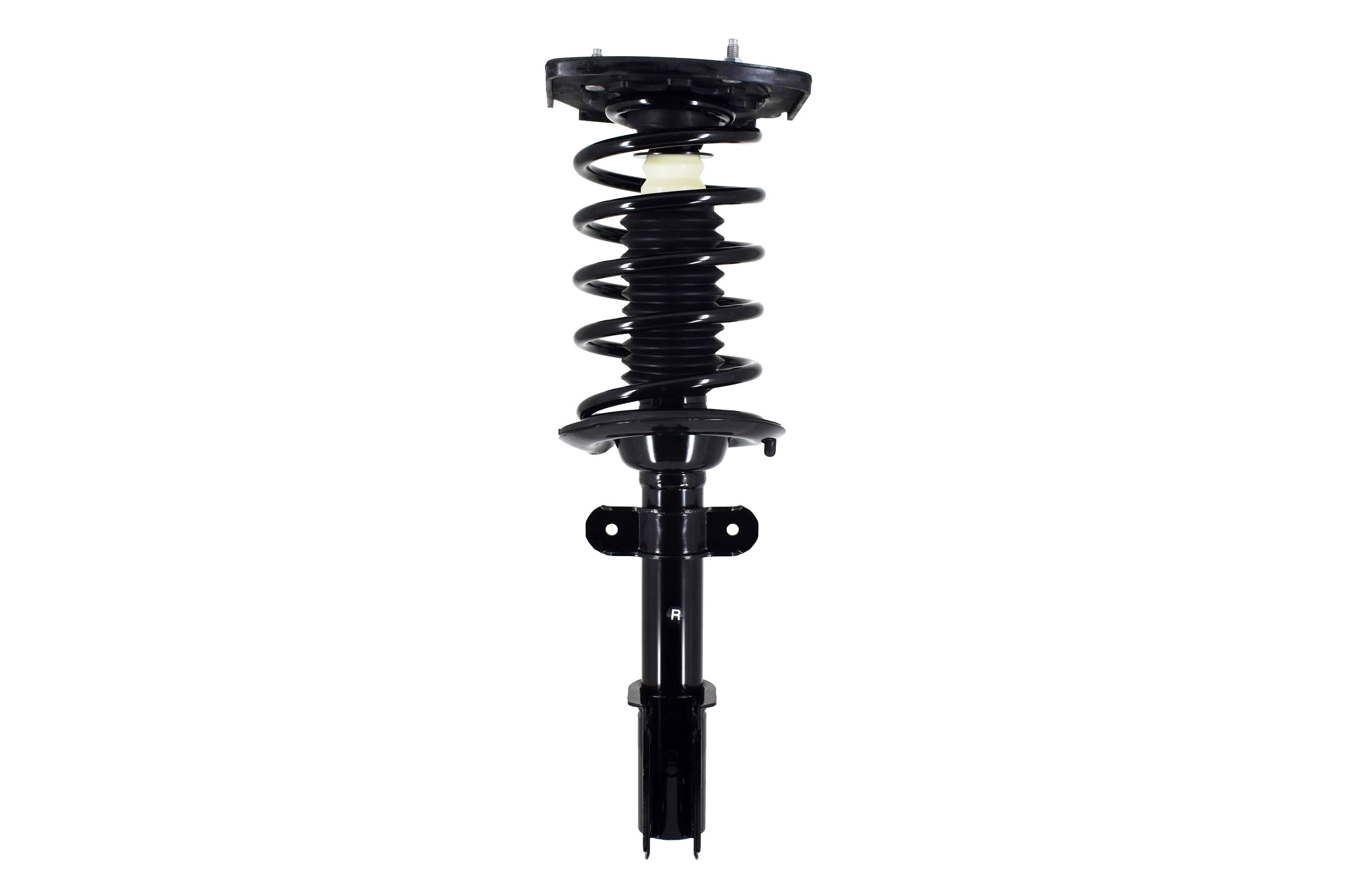 Suspension Strut and Coil Spring Assembly