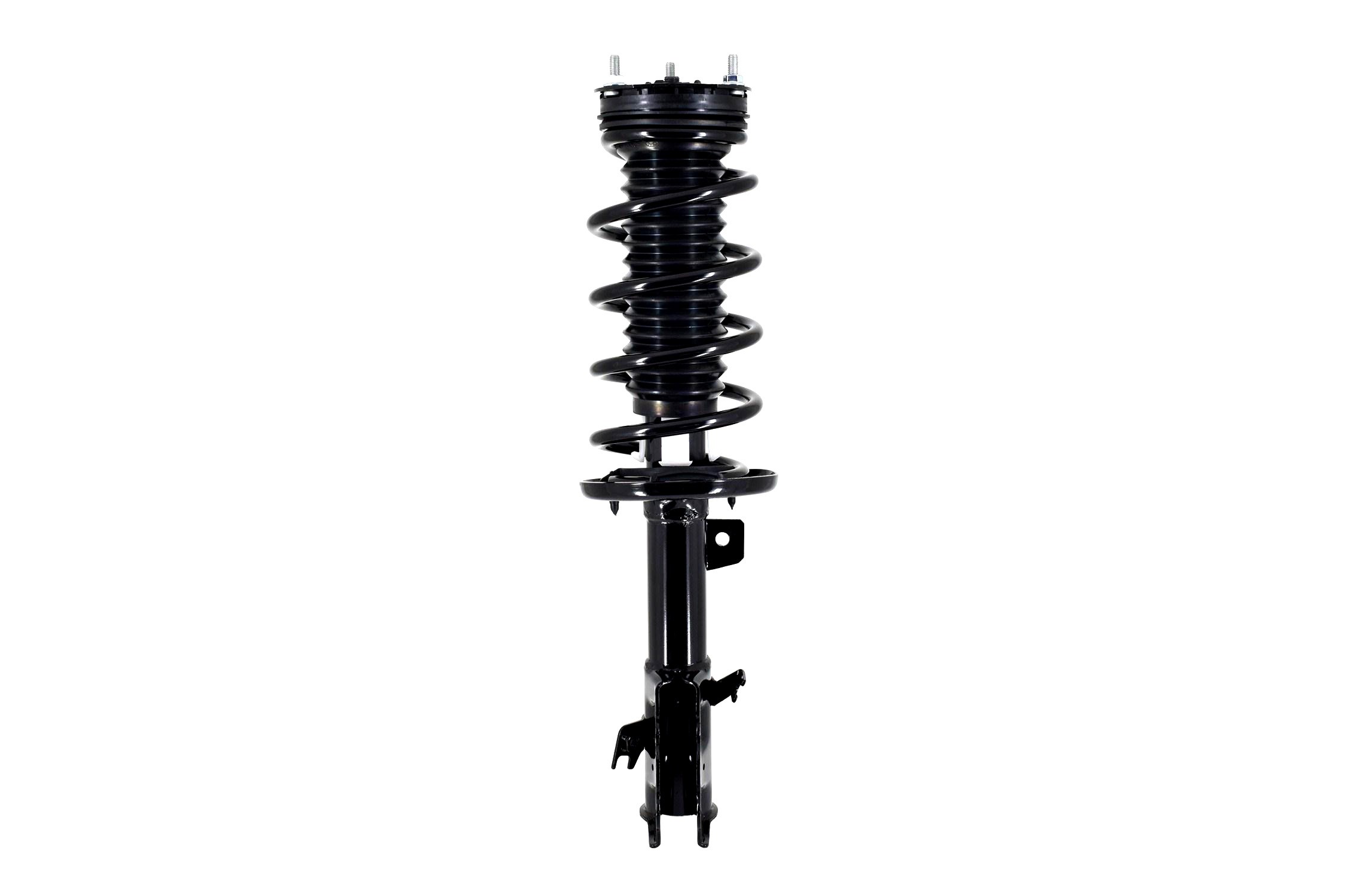 Suspension Strut and Coil Spring Assembly