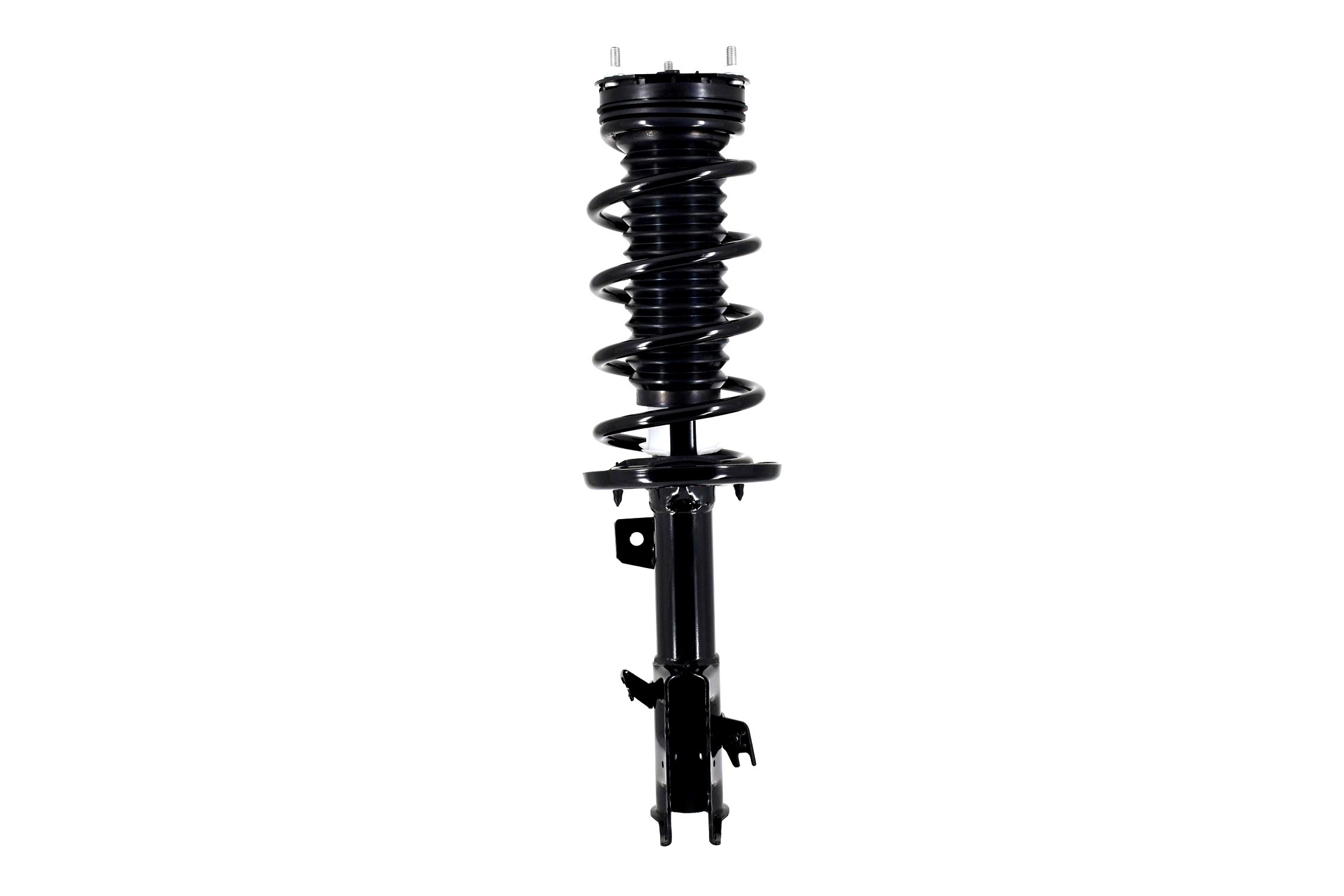 Suspension Strut and Coil Spring Assembly