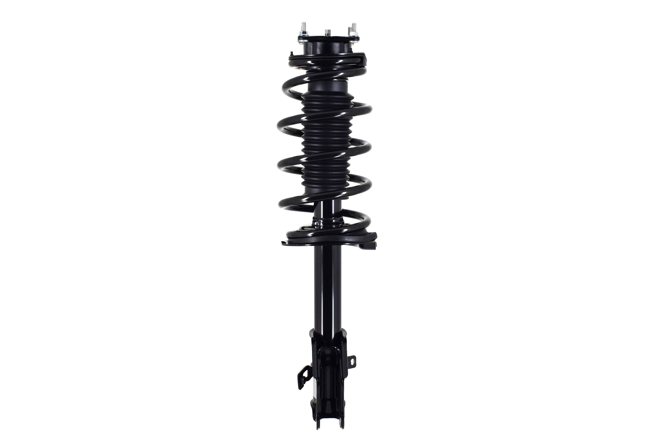 Suspension Strut and Coil Spring Assembly