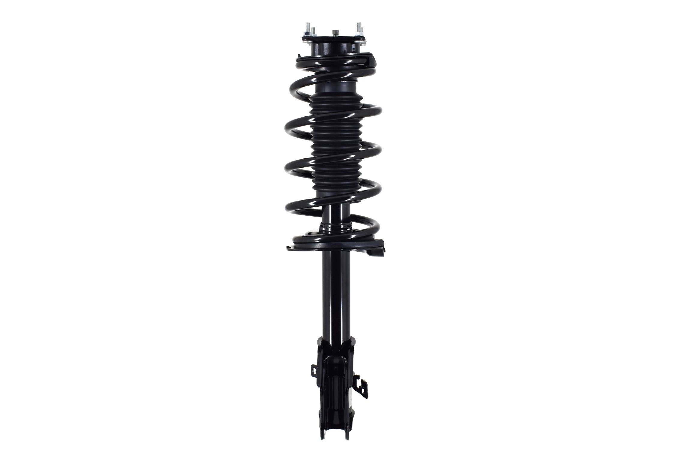 Suspension Strut and Coil Spring Assembly