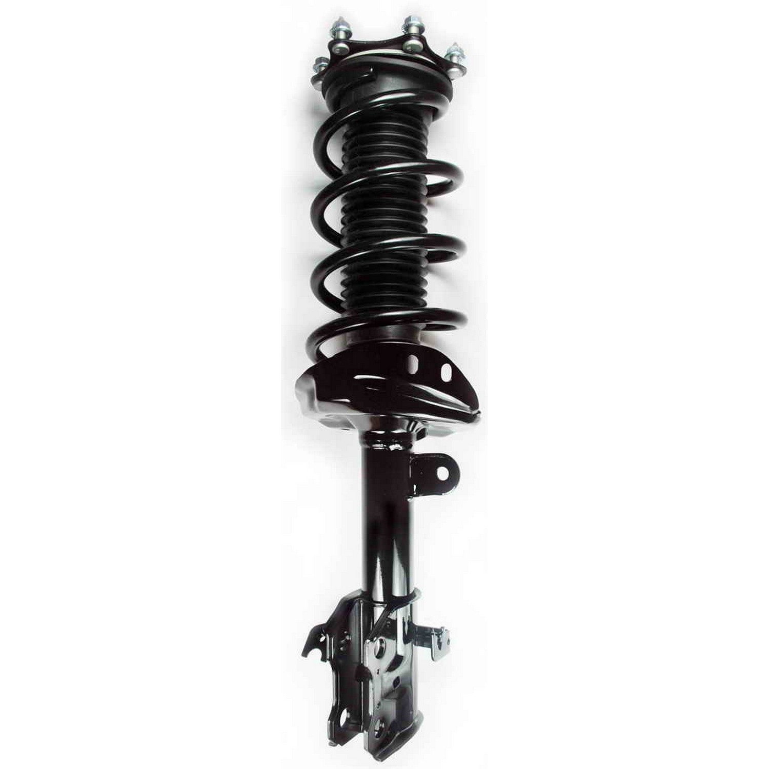 Suspension Strut and Coil Spring Assembly