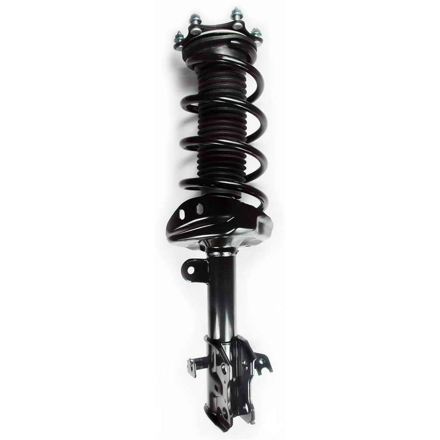 Suspension Strut and Coil Spring Assembly