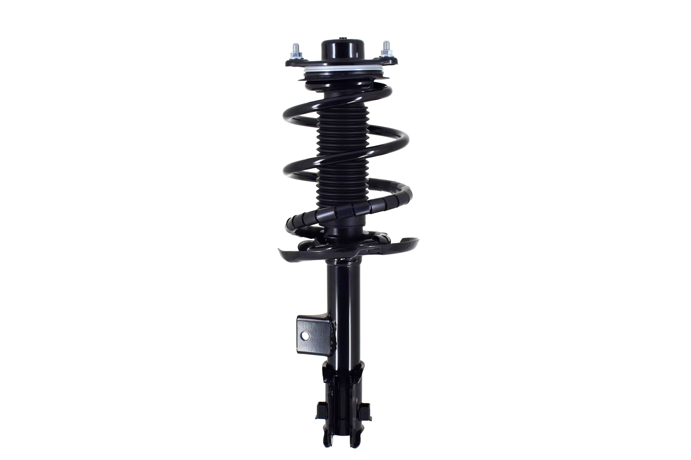 Suspension Strut and Coil Spring Assembly