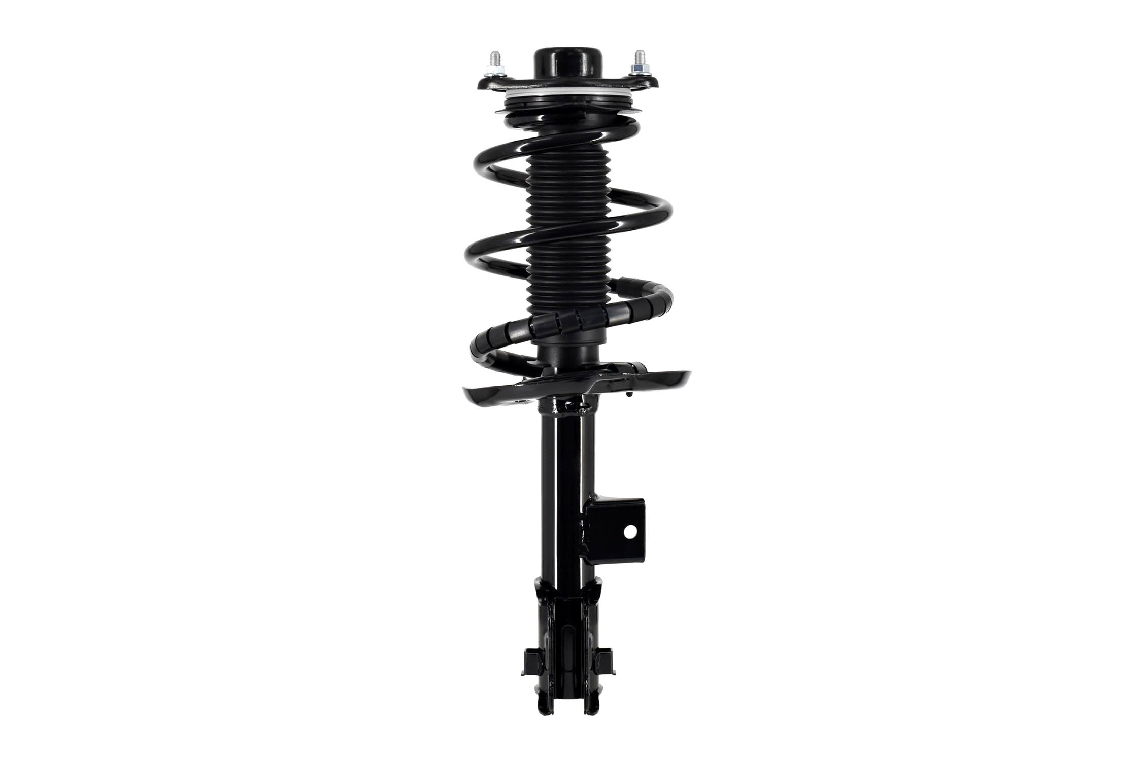 Suspension Strut and Coil Spring Assembly