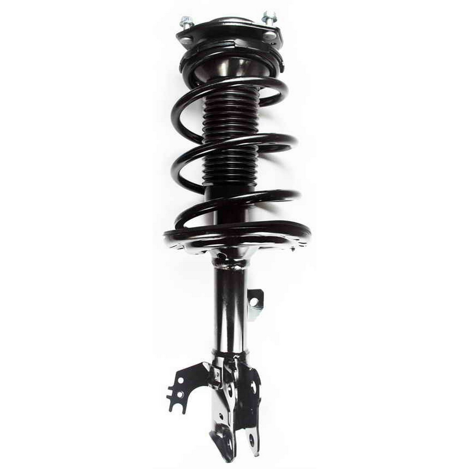 Suspension Strut and Coil Spring Assembly