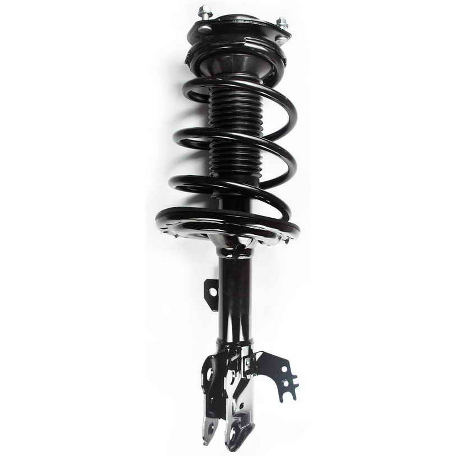 Suspension Strut and Coil Spring Assembly