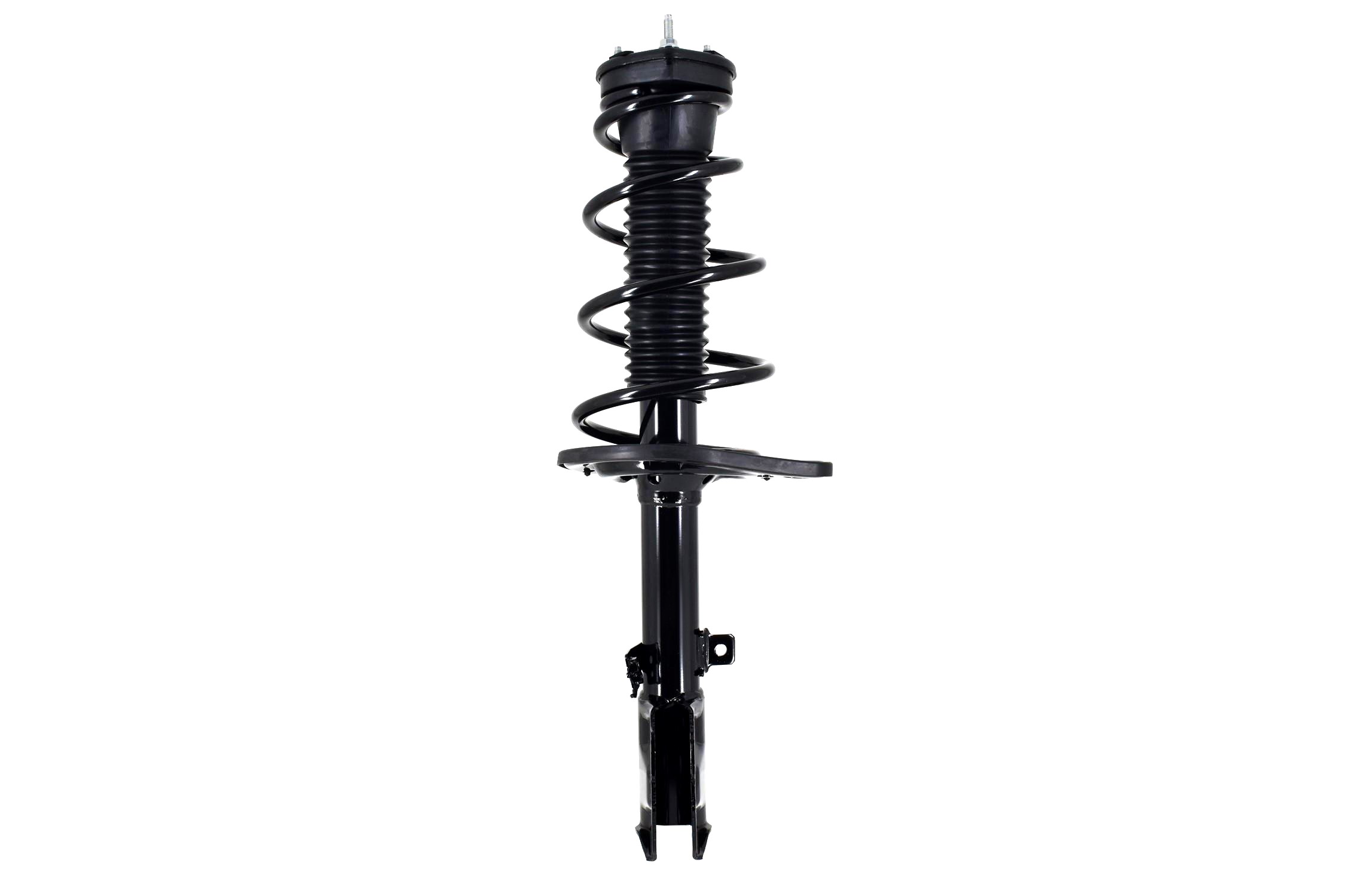 Suspension Strut and Coil Spring Assembly