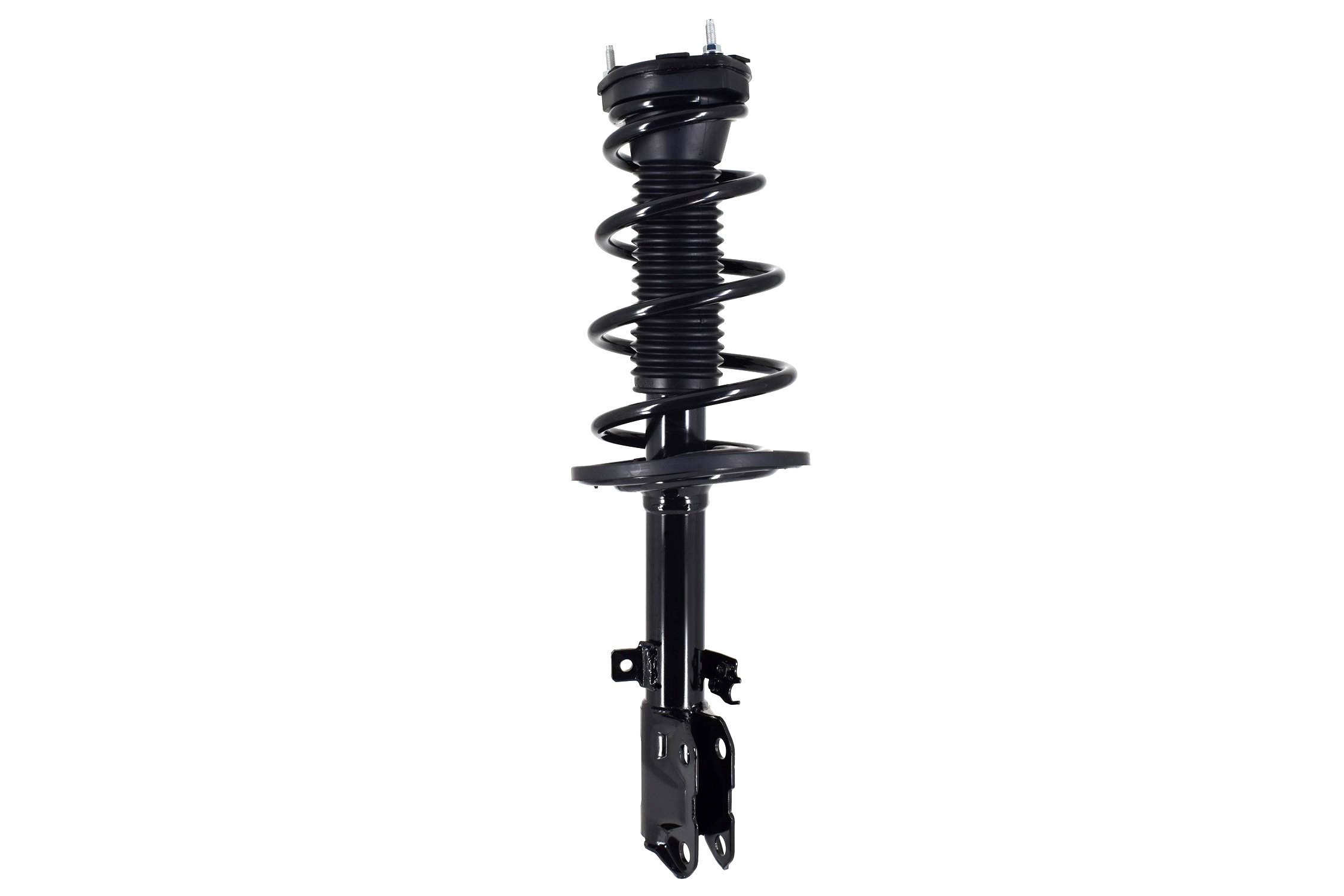 Suspension Strut and Coil Spring Assembly