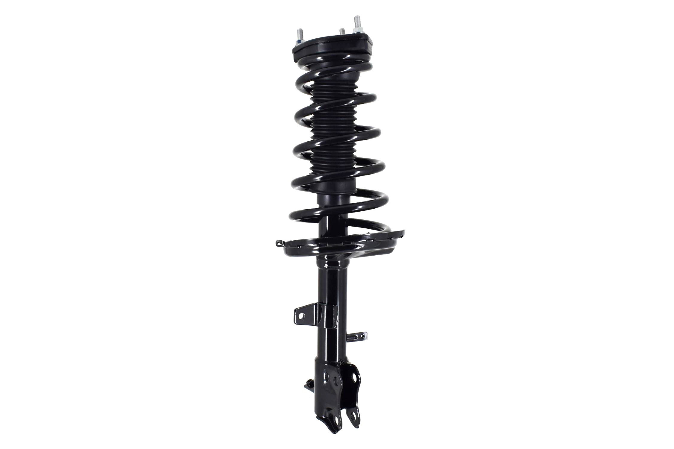 Suspension Strut and Coil Spring Assembly