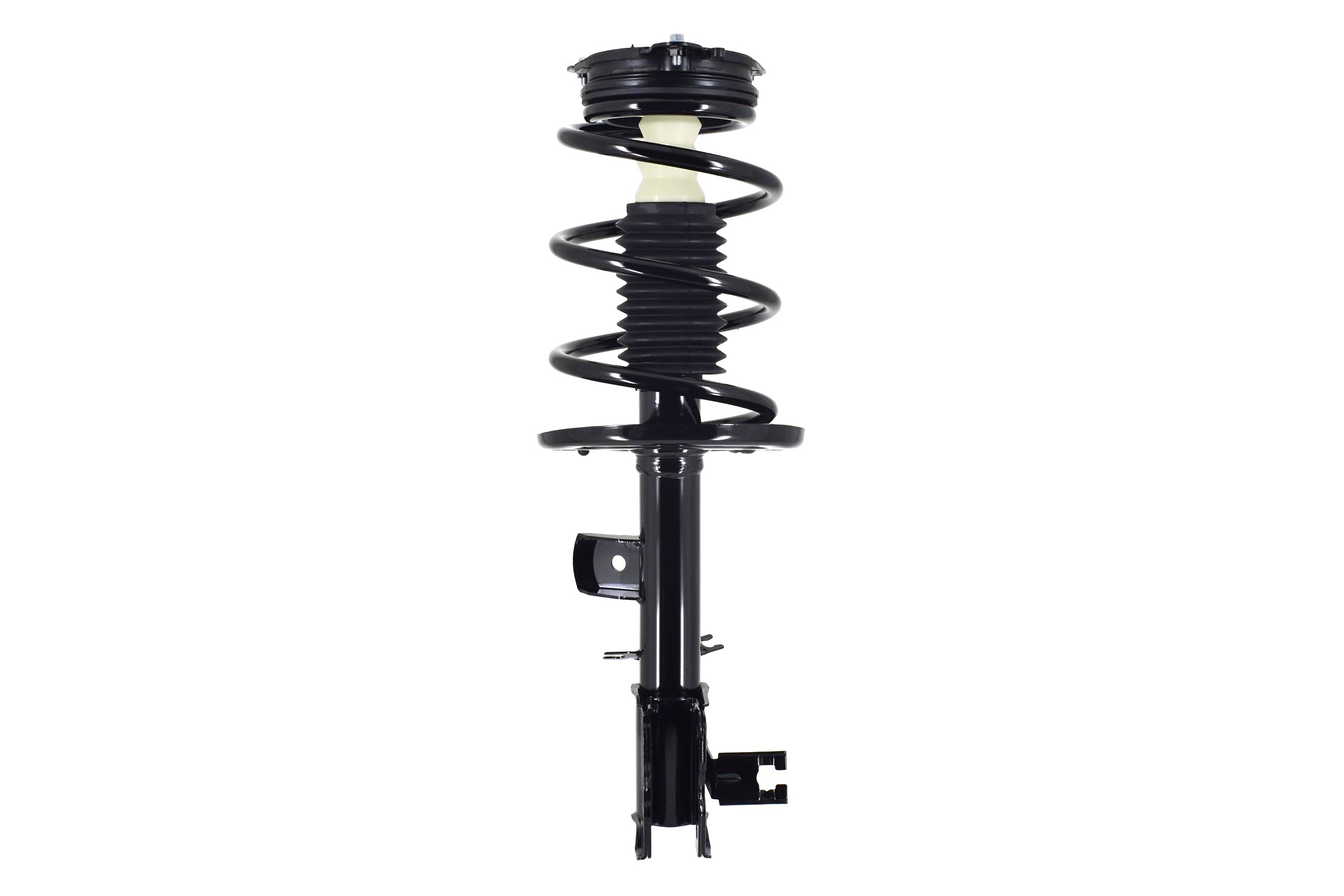 Suspension Strut and Coil Spring Assembly