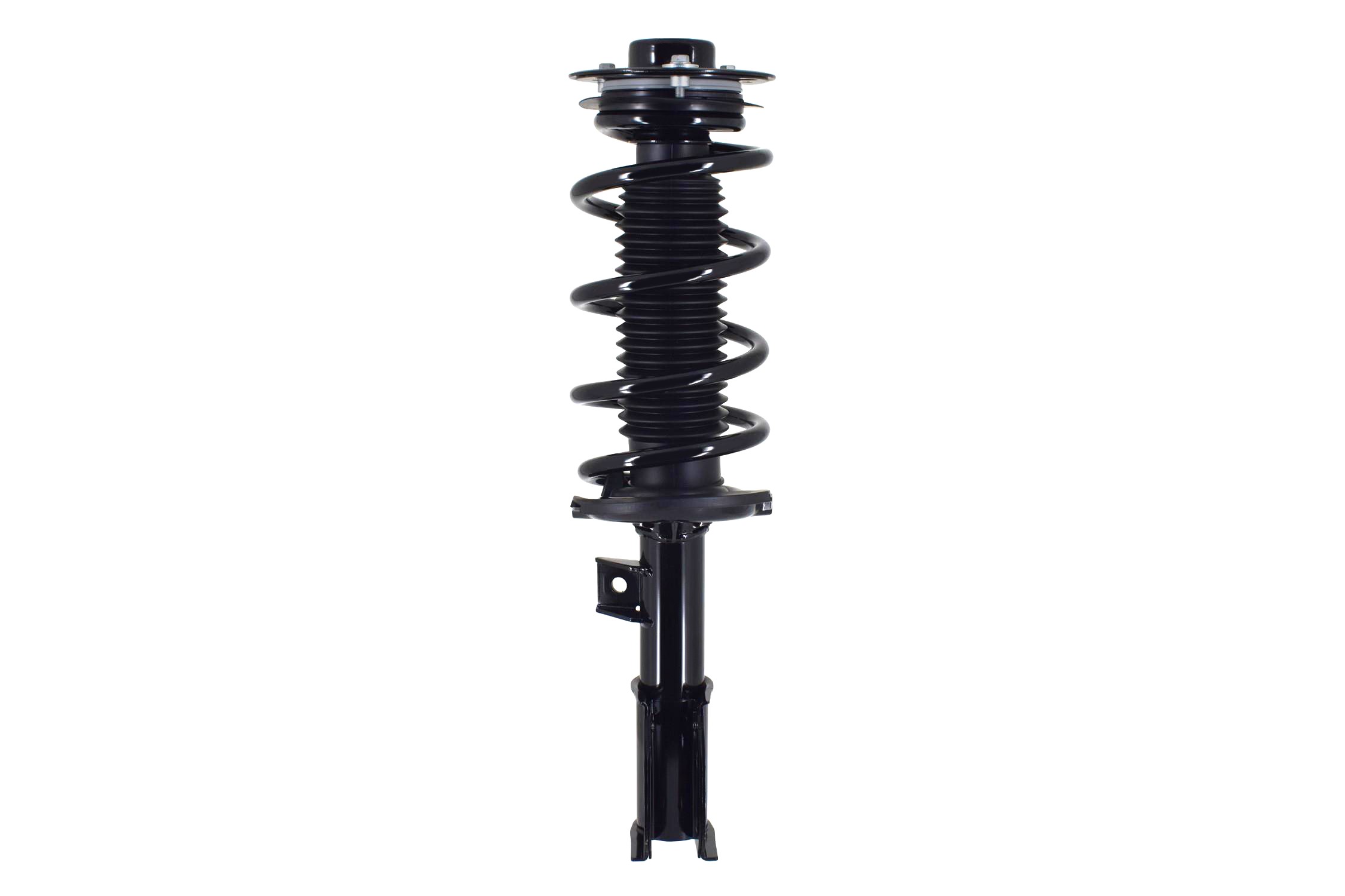 Suspension Strut and Coil Spring Assembly