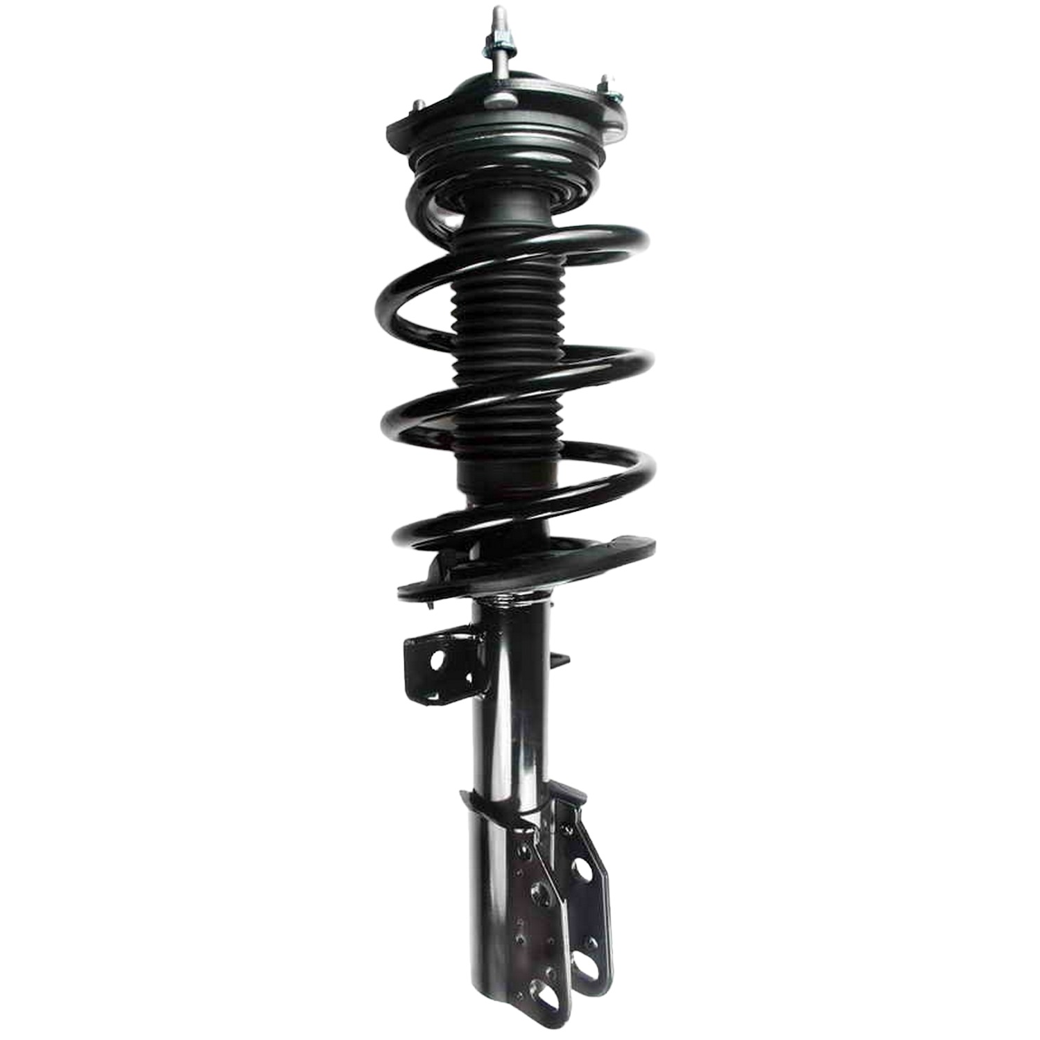 Suspension Strut and Coil Spring Assembly