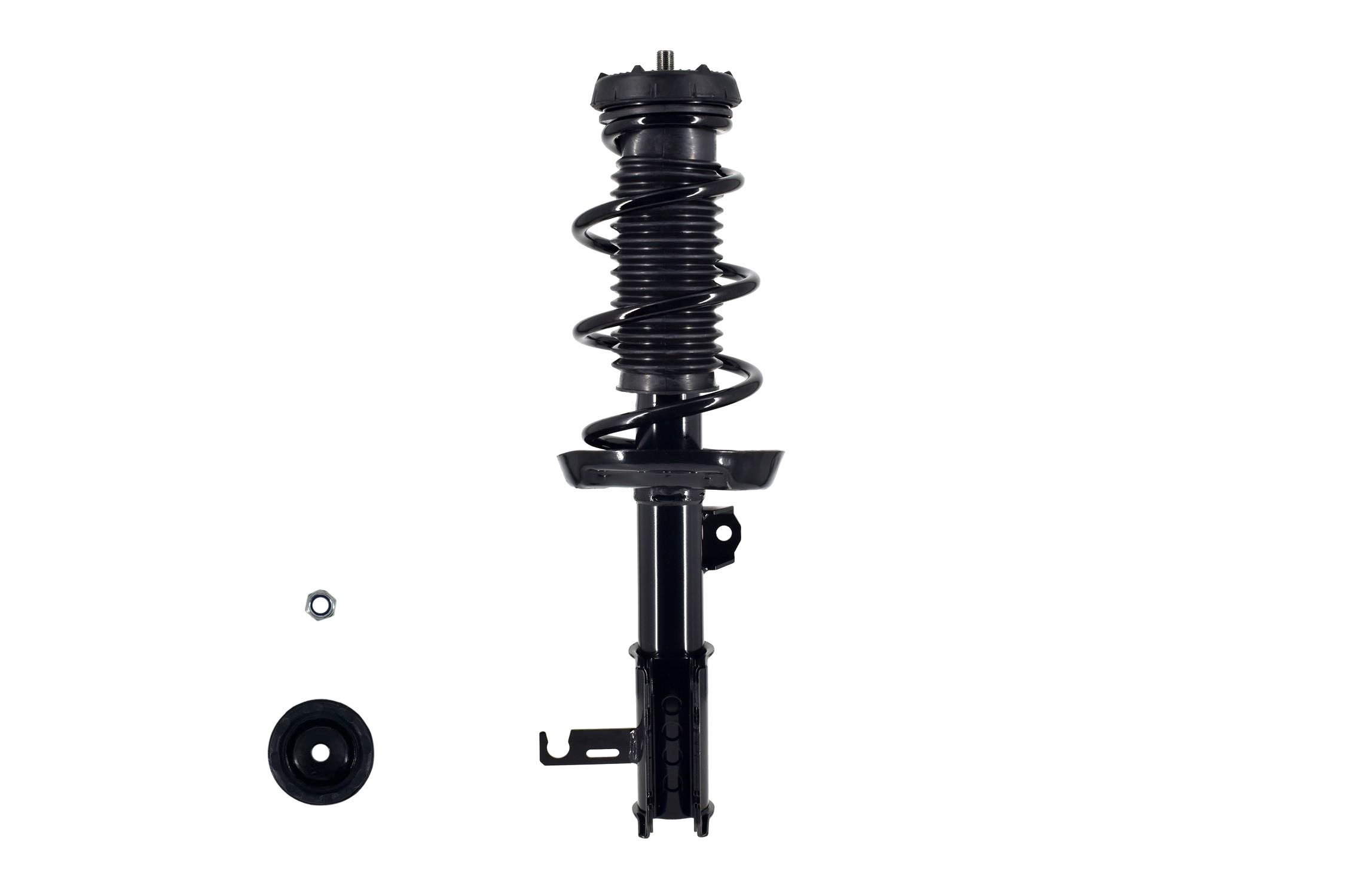 Suspension Strut and Coil Spring Assembly