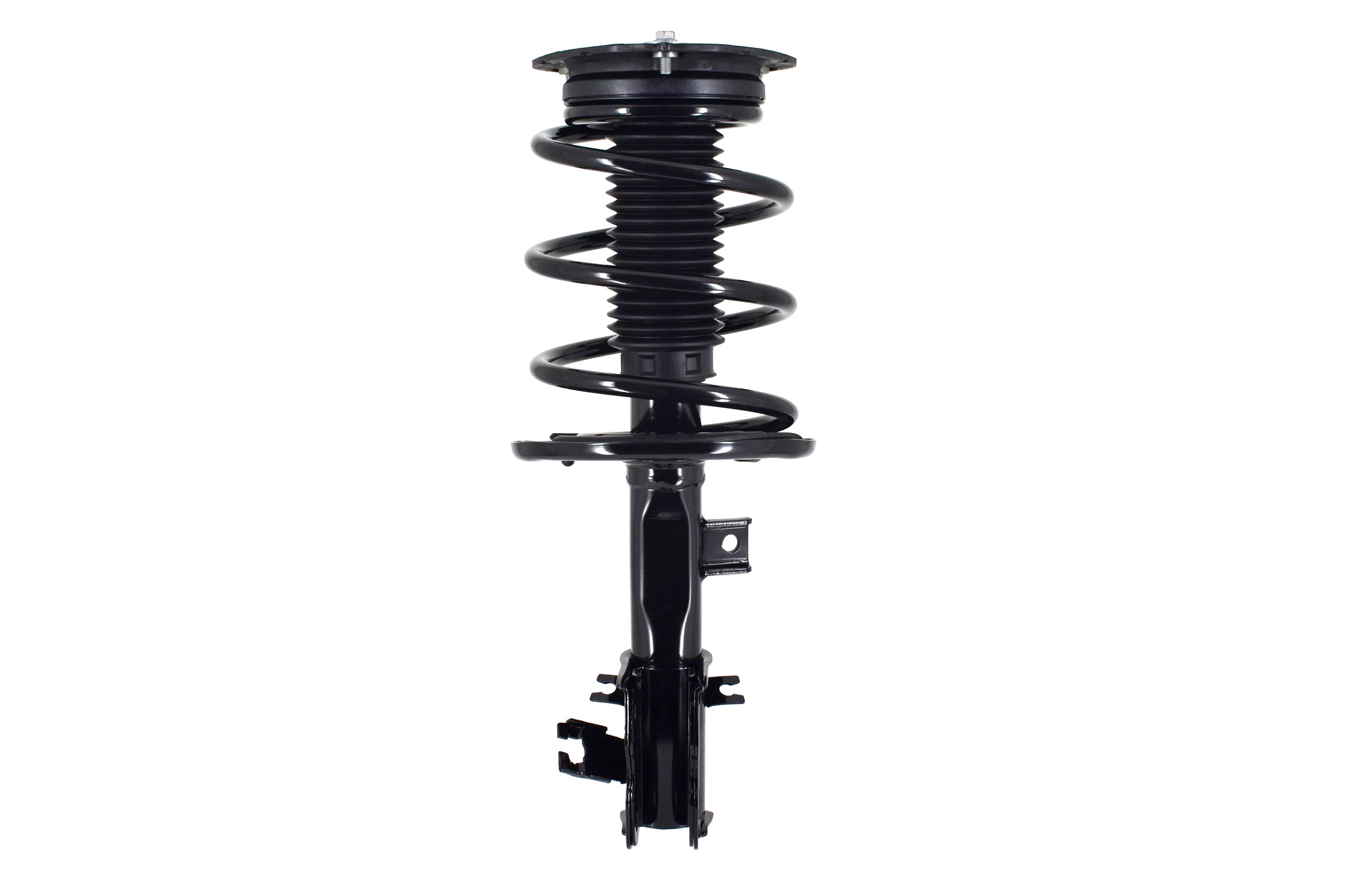 Suspension Strut and Coil Spring Assembly