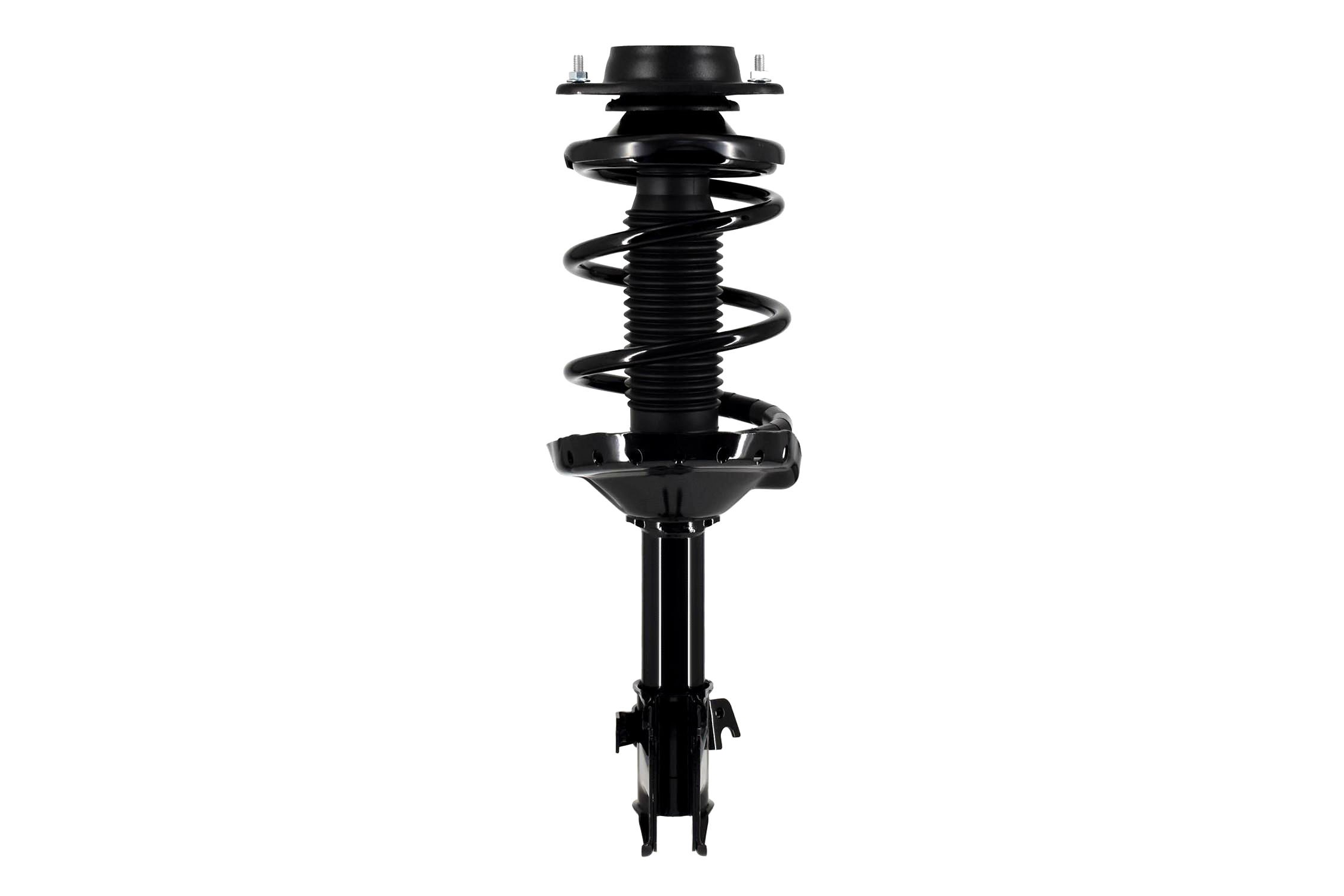 Suspension Strut and Coil Spring Assembly