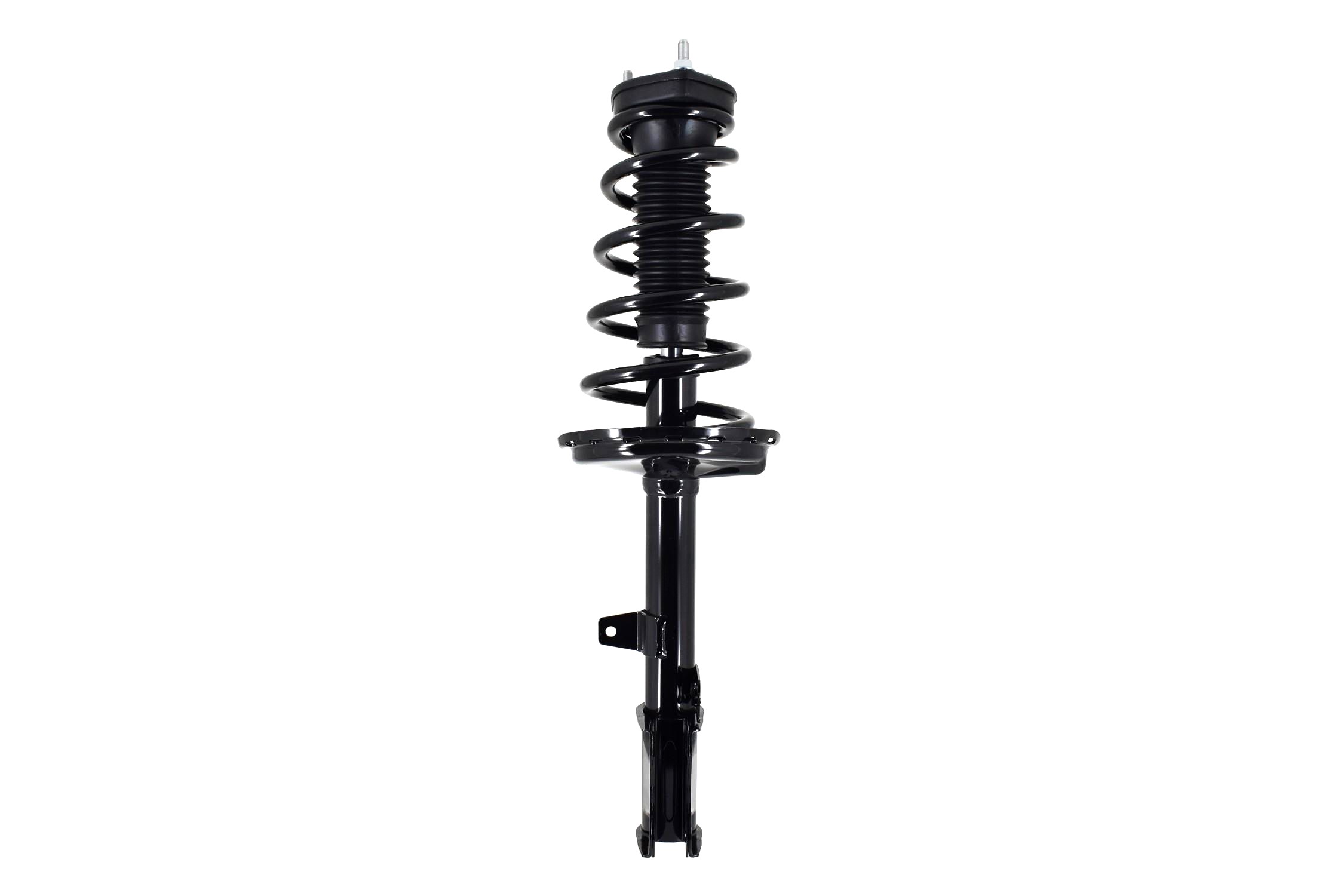 Suspension Strut and Coil Spring Assembly