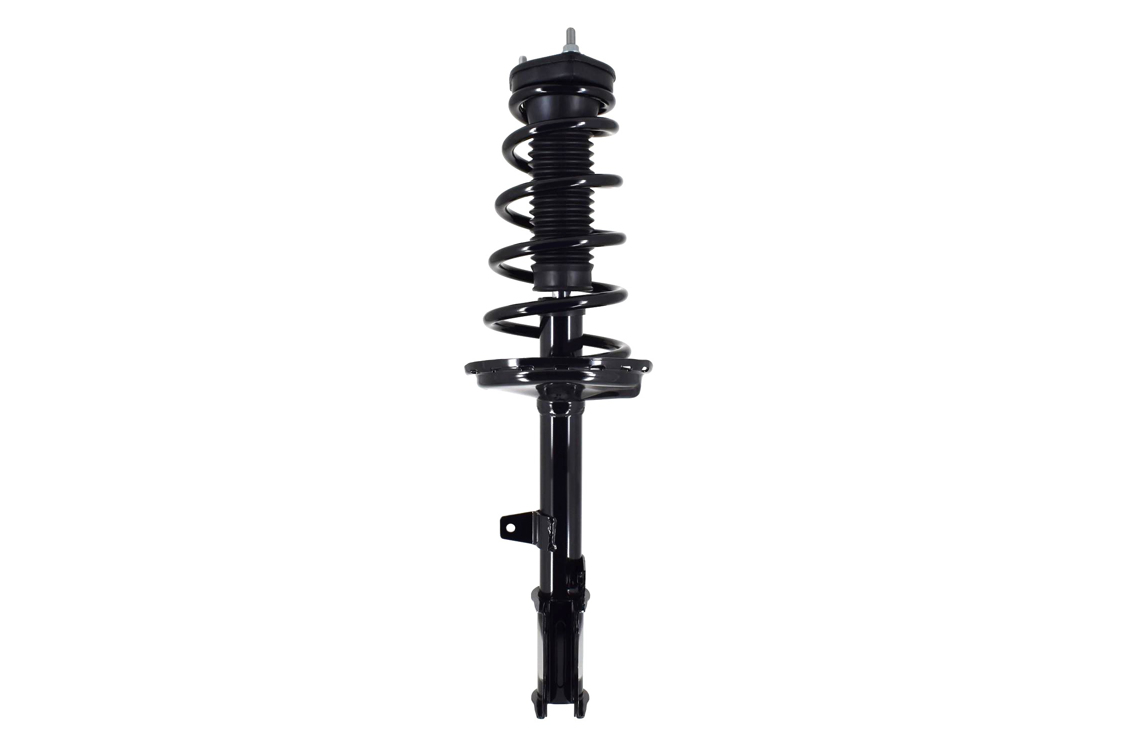 Suspension Strut and Coil Spring Assembly