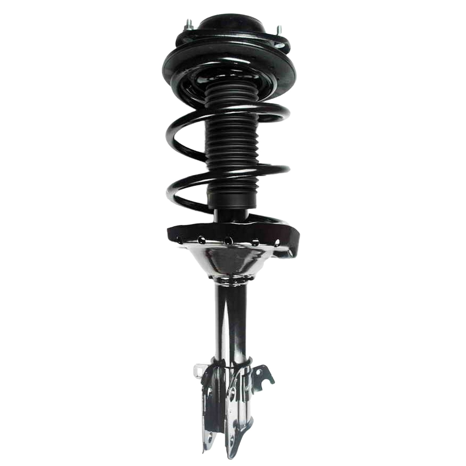 Suspension Strut and Coil Spring Assembly