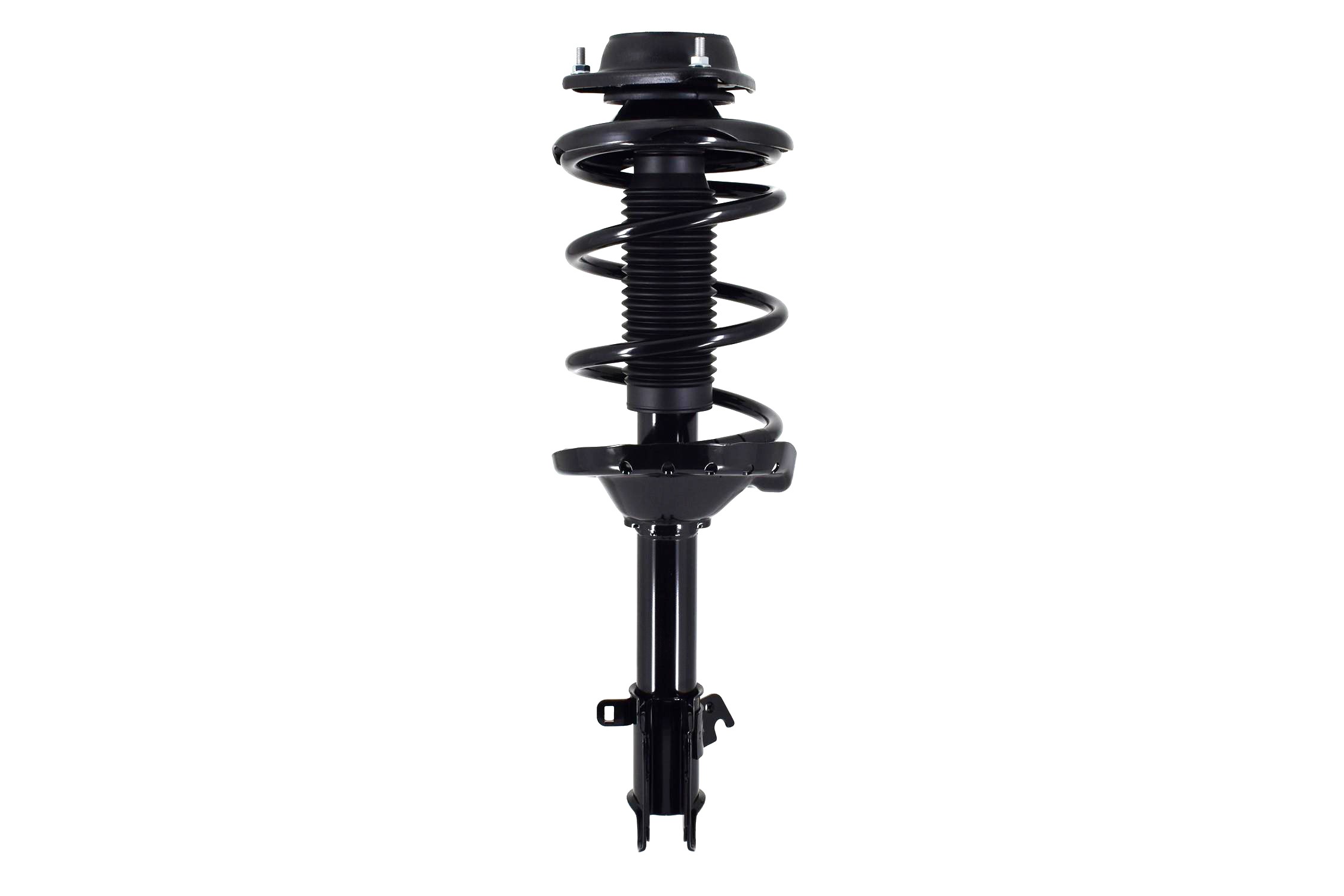 Suspension Strut and Coil Spring Assembly
