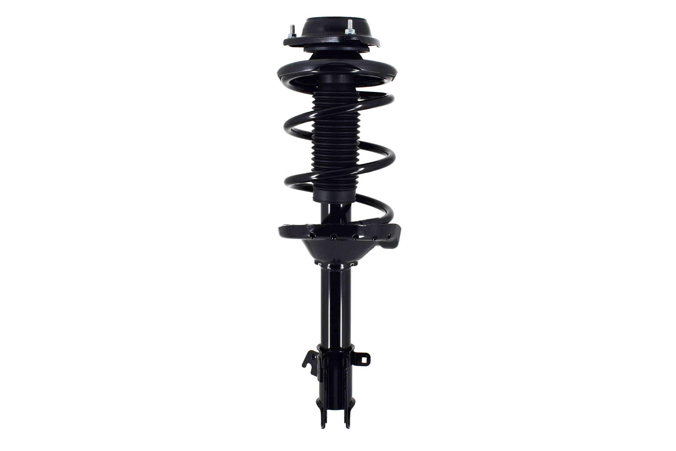 Suspension Strut and Coil Spring Assembly