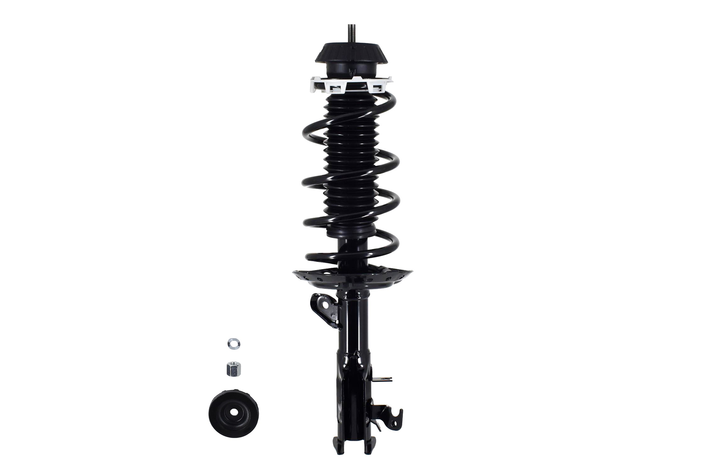 Suspension Strut and Coil Spring Assembly