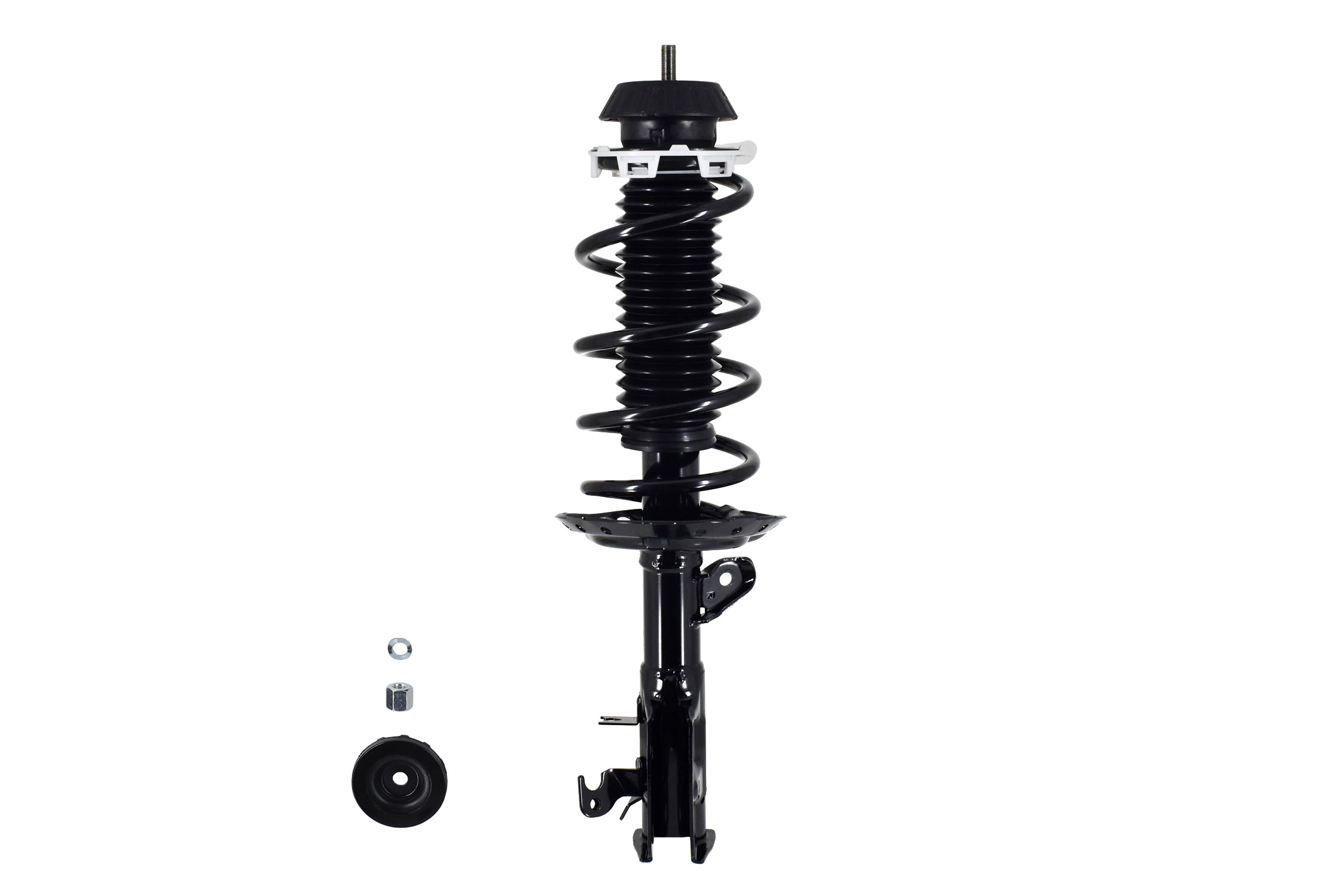 Suspension Strut and Coil Spring Assembly