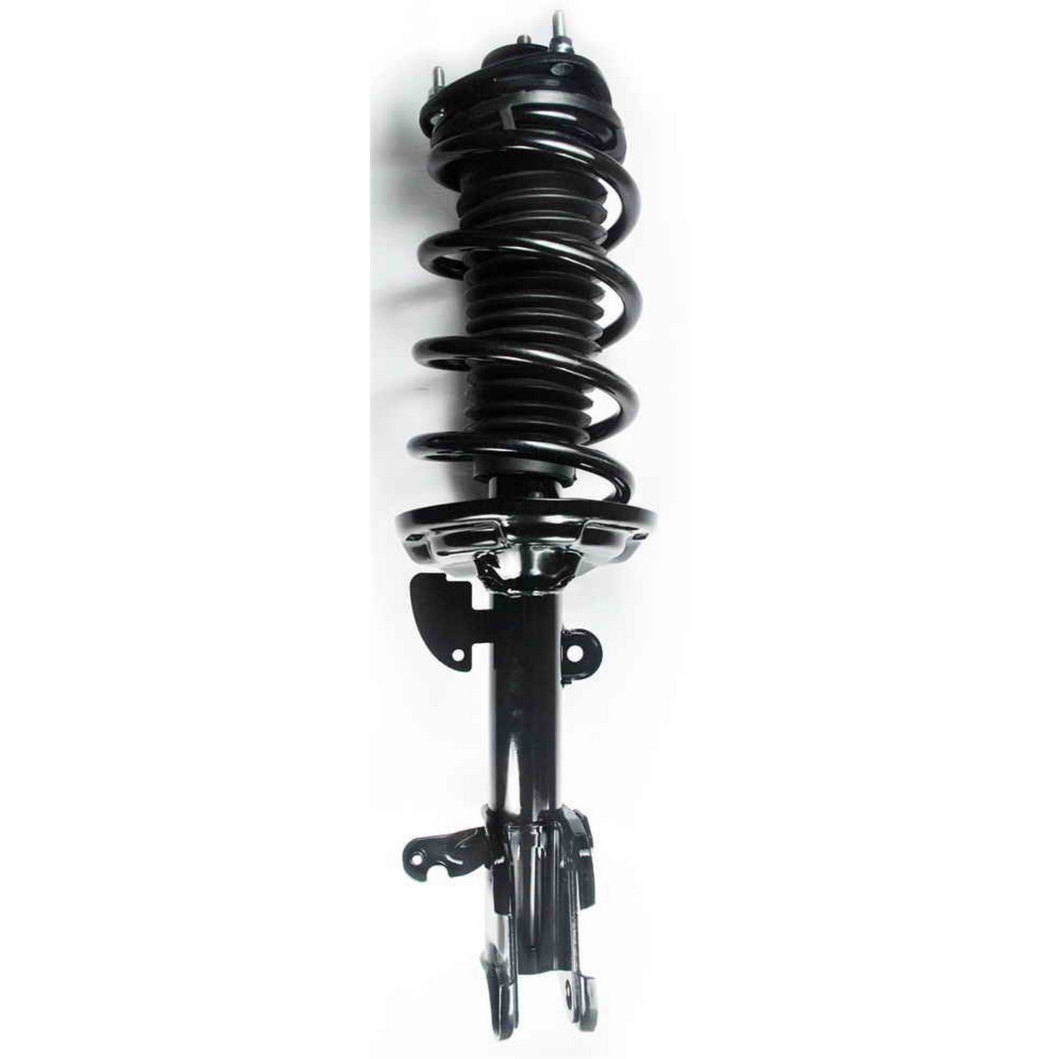 Suspension Strut and Coil Spring Assembly