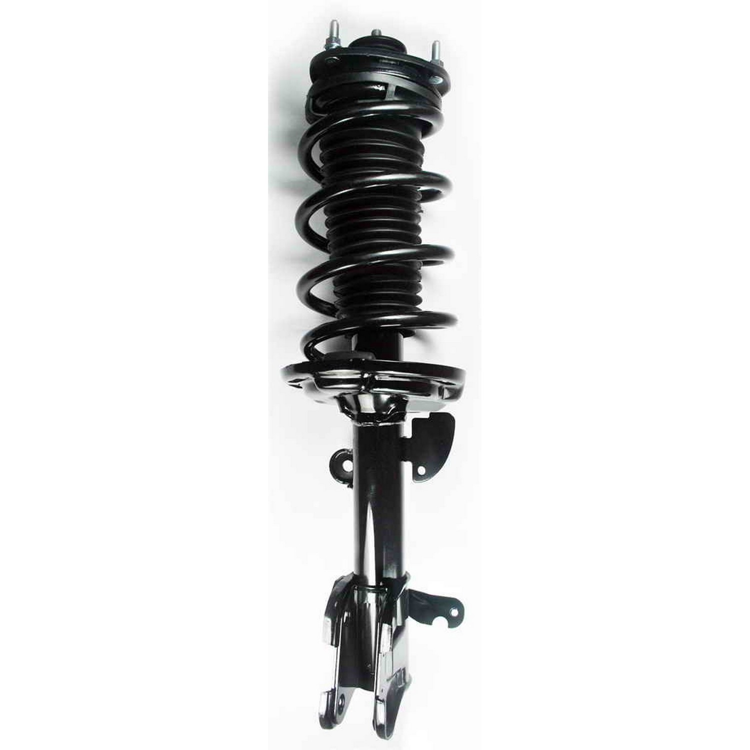 Suspension Strut and Coil Spring Assembly