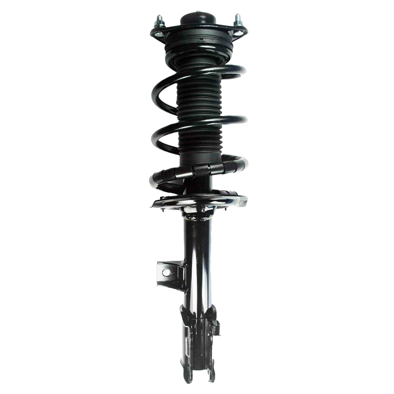 Suspension Strut and Coil Spring Assembly