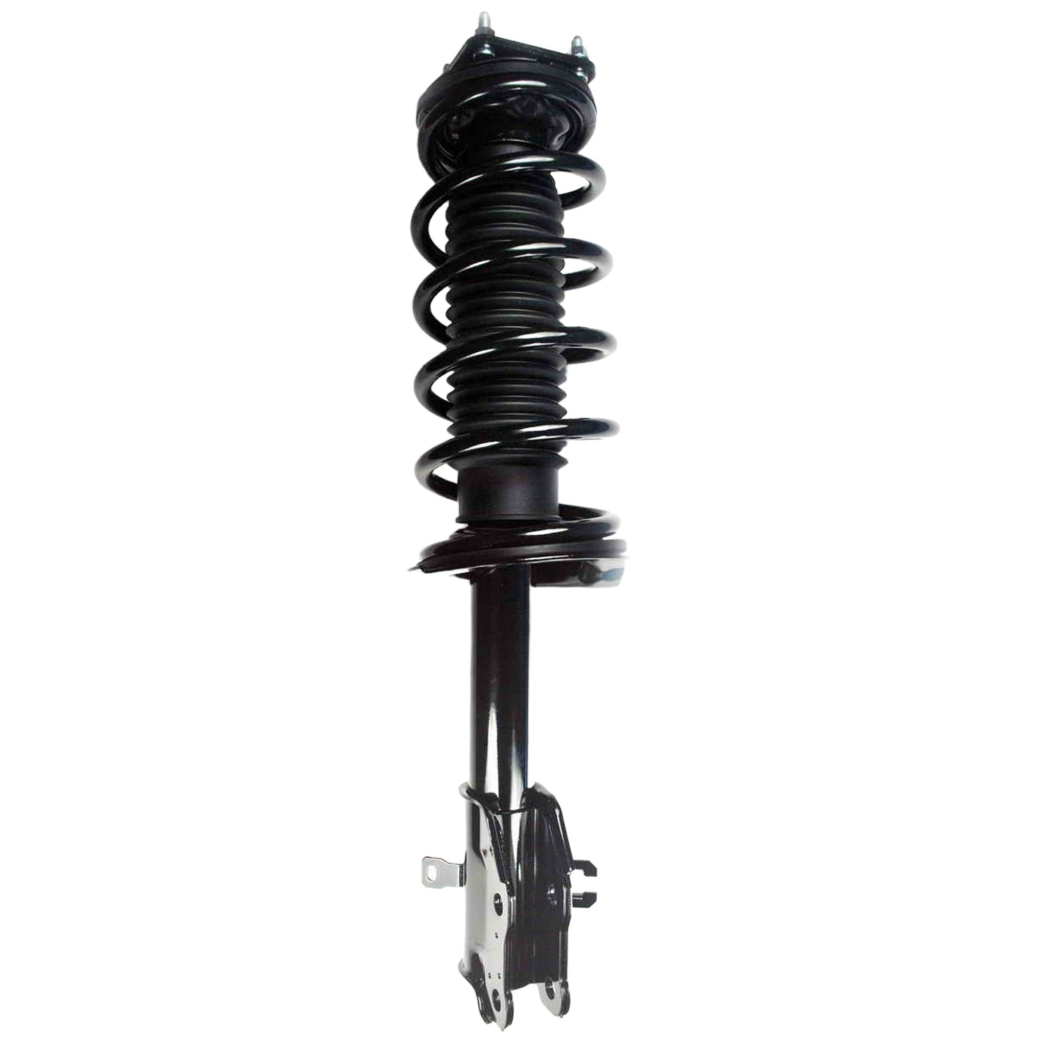 Suspension Strut and Coil Spring Assembly