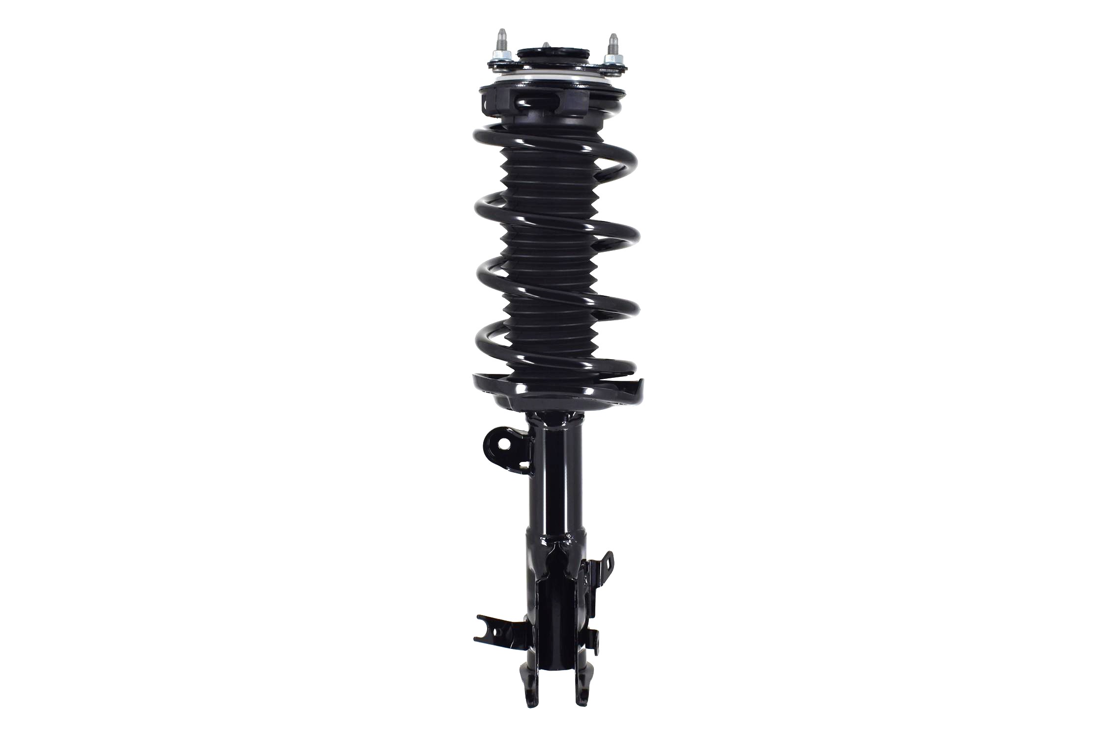 Suspension Strut and Coil Spring Assembly