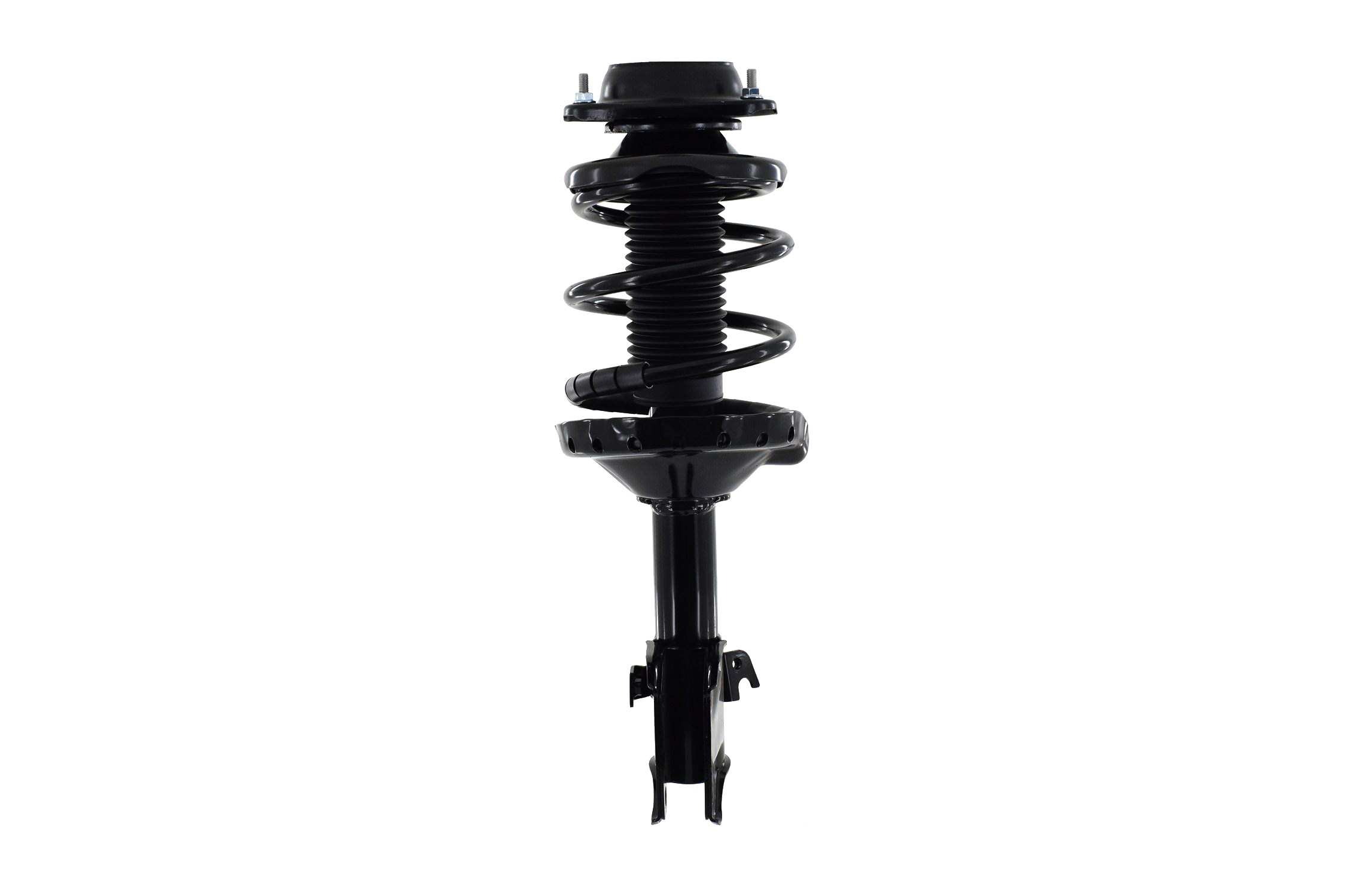 Suspension Strut and Coil Spring Assembly