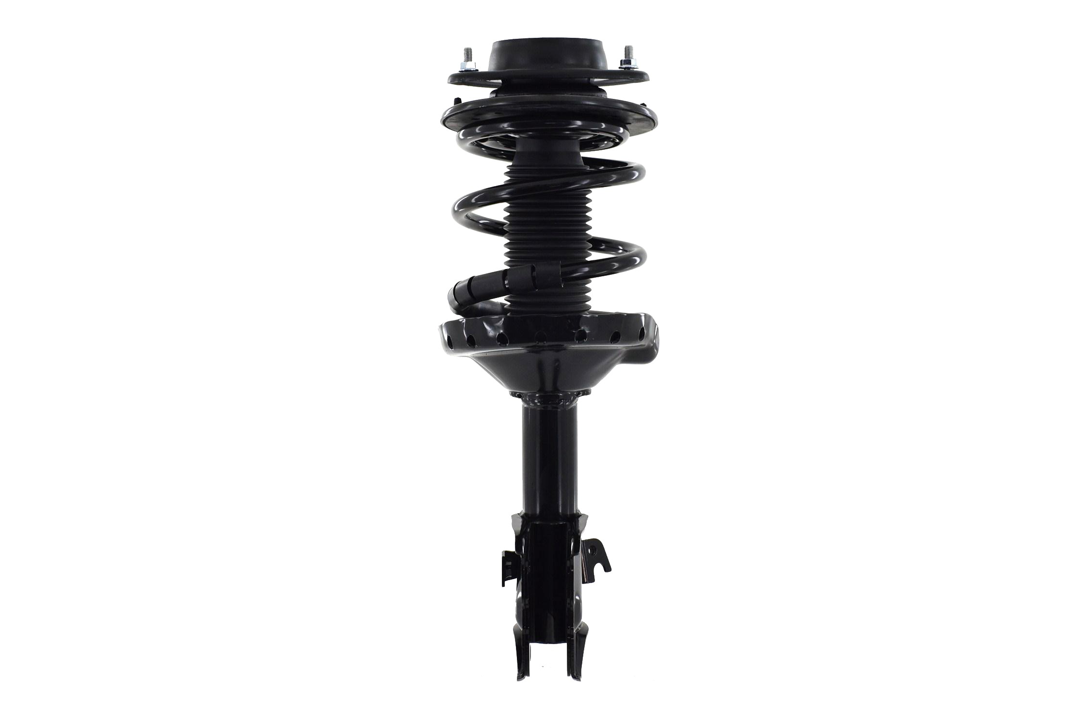 Suspension Strut and Coil Spring Assembly
