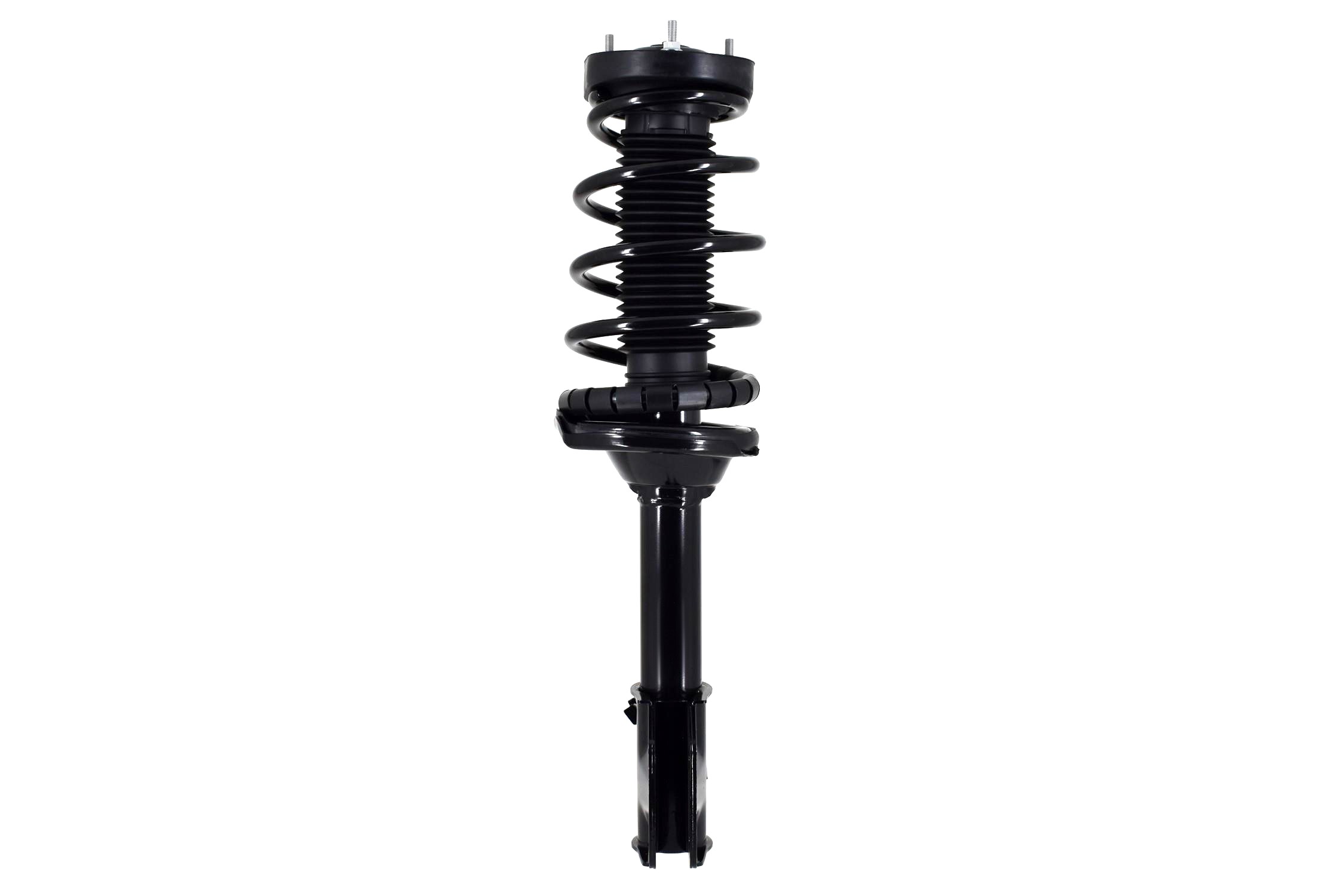 Suspension Strut and Coil Spring Assembly