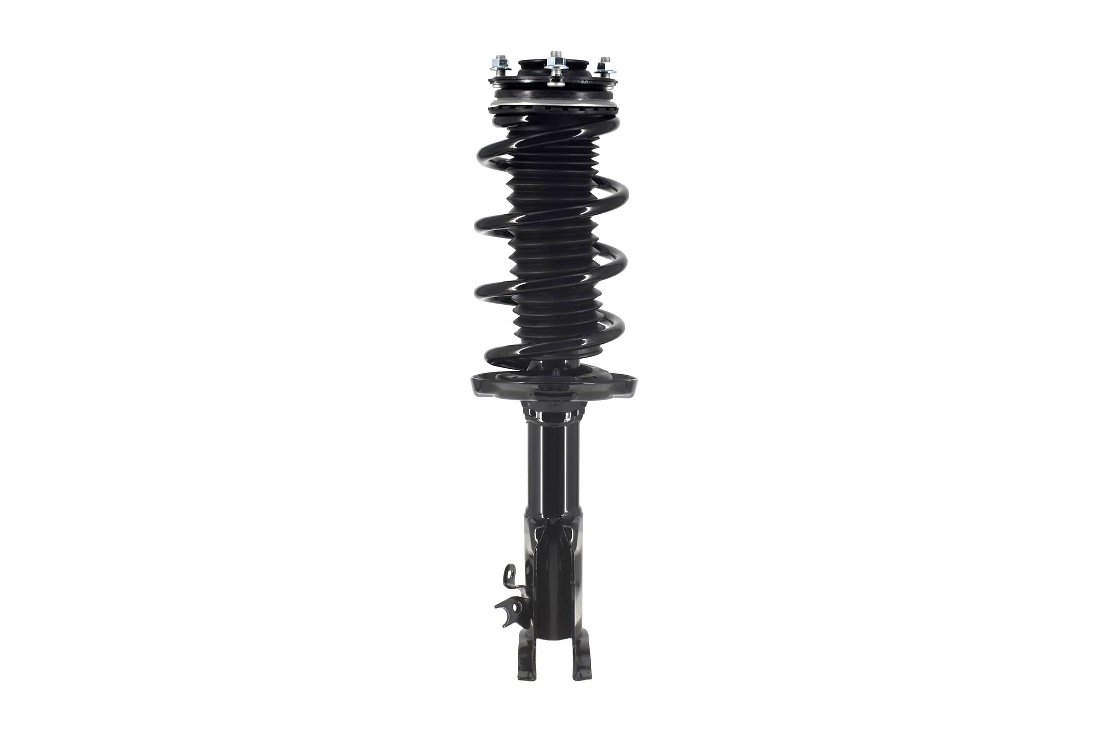 Suspension Strut and Coil Spring Assembly