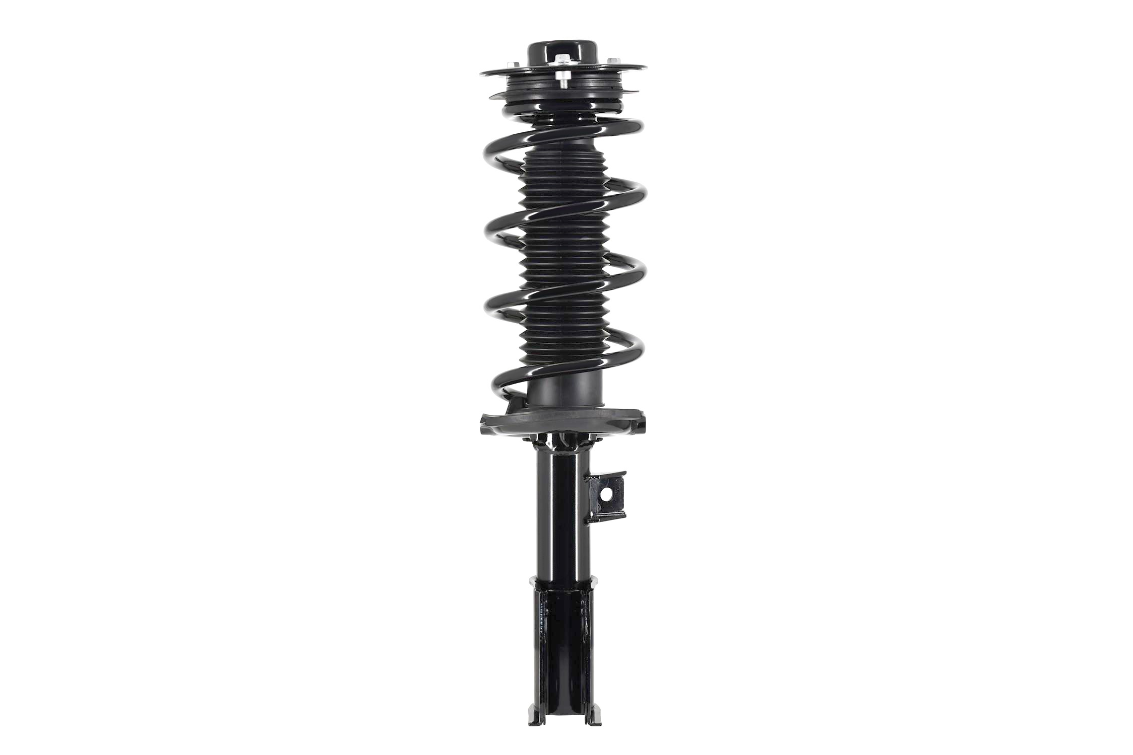 Suspension Strut and Coil Spring Assembly