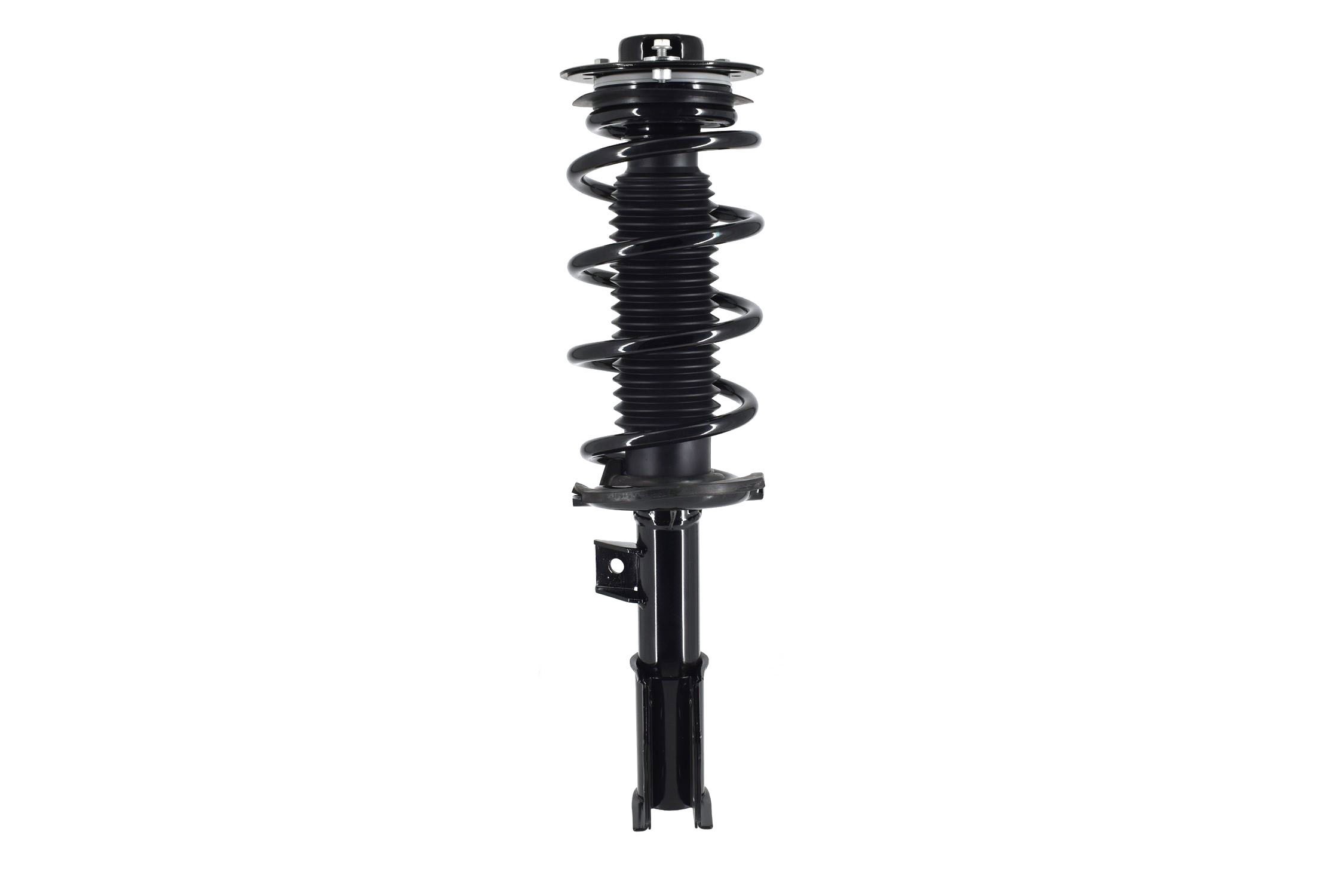 Suspension Strut and Coil Spring Assembly