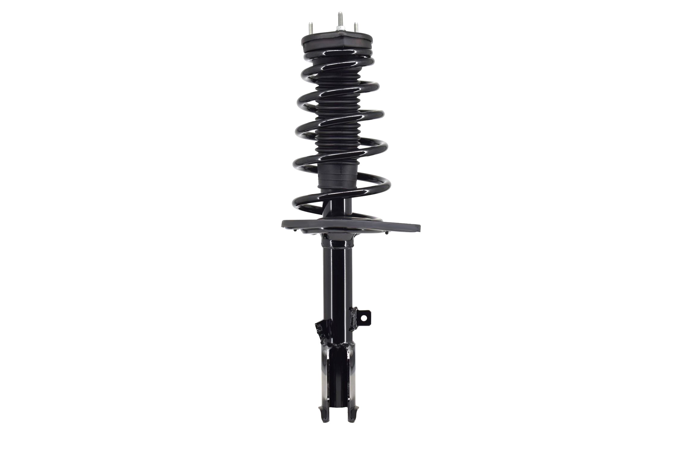 Suspension Strut and Coil Spring Assembly