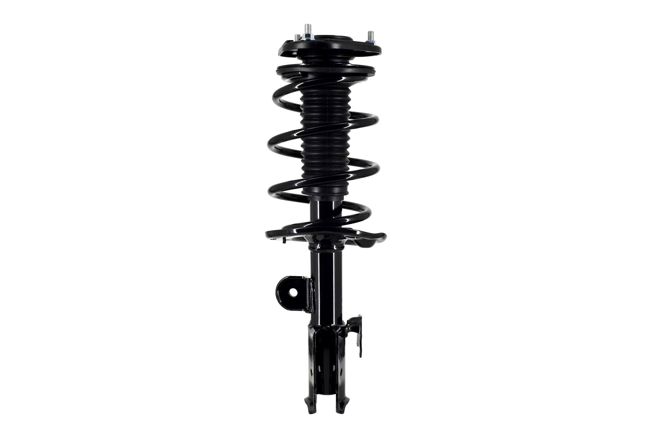 Suspension Strut and Coil Spring Assembly